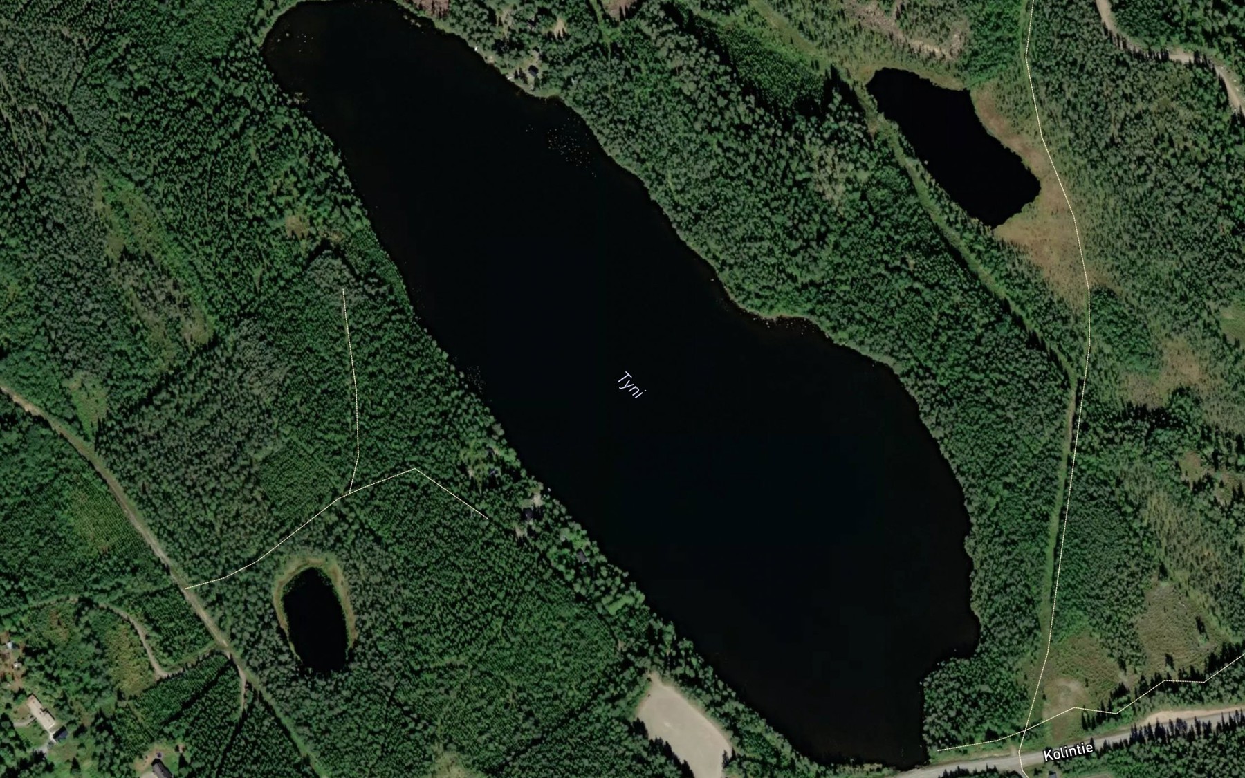 Satellite map of the Tyni