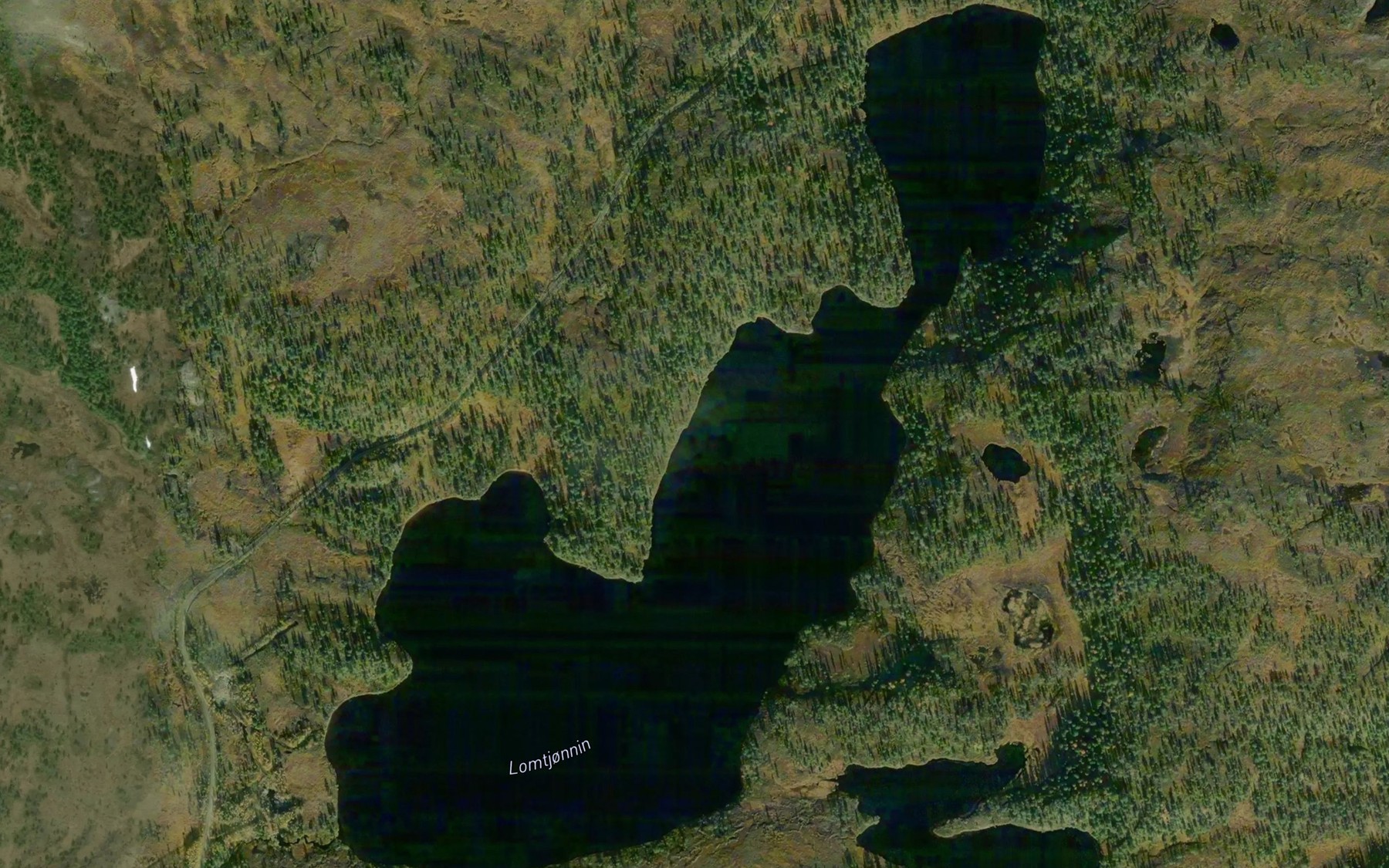 Satellite map of the Lomtjornin