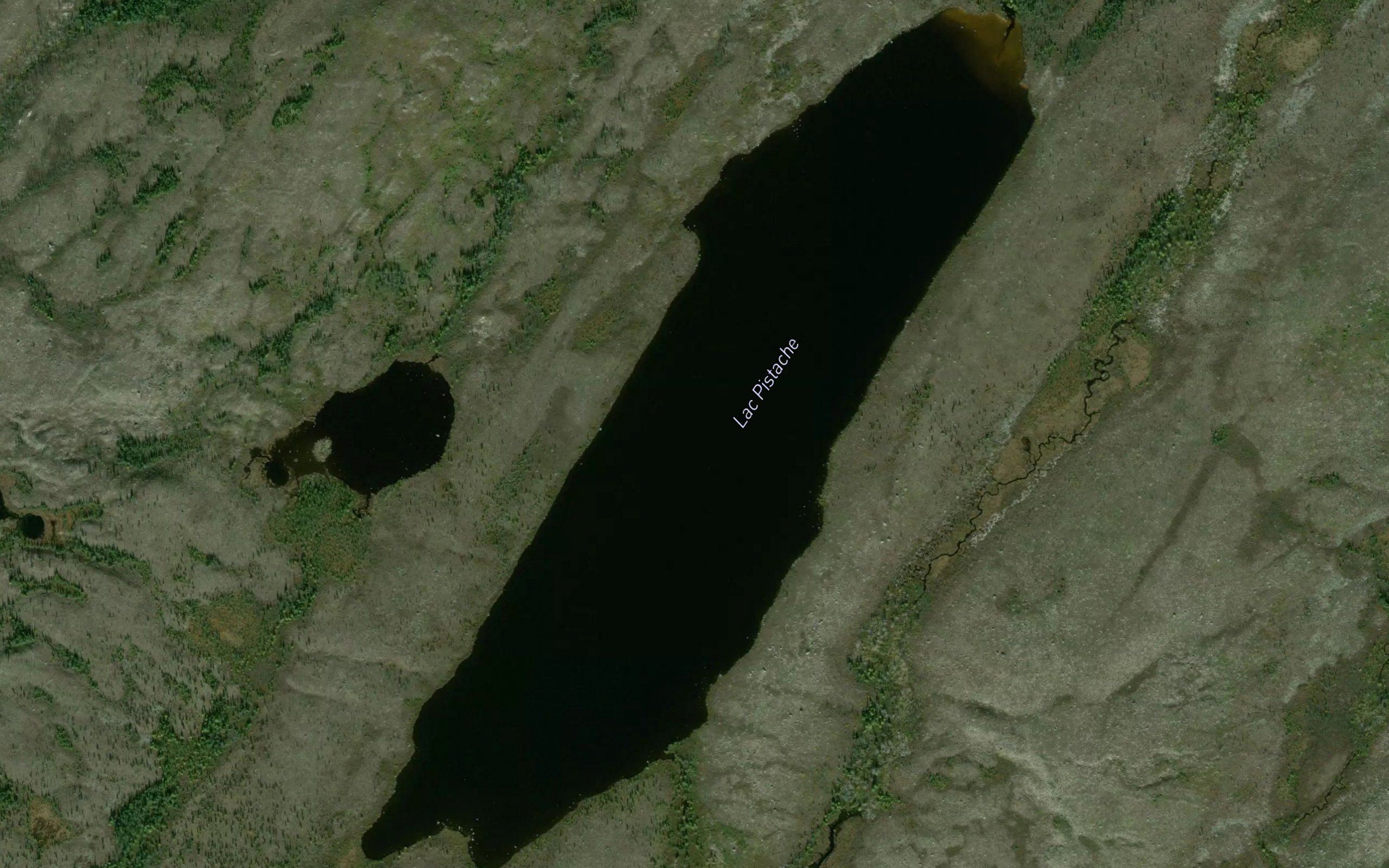 Lac Pistache