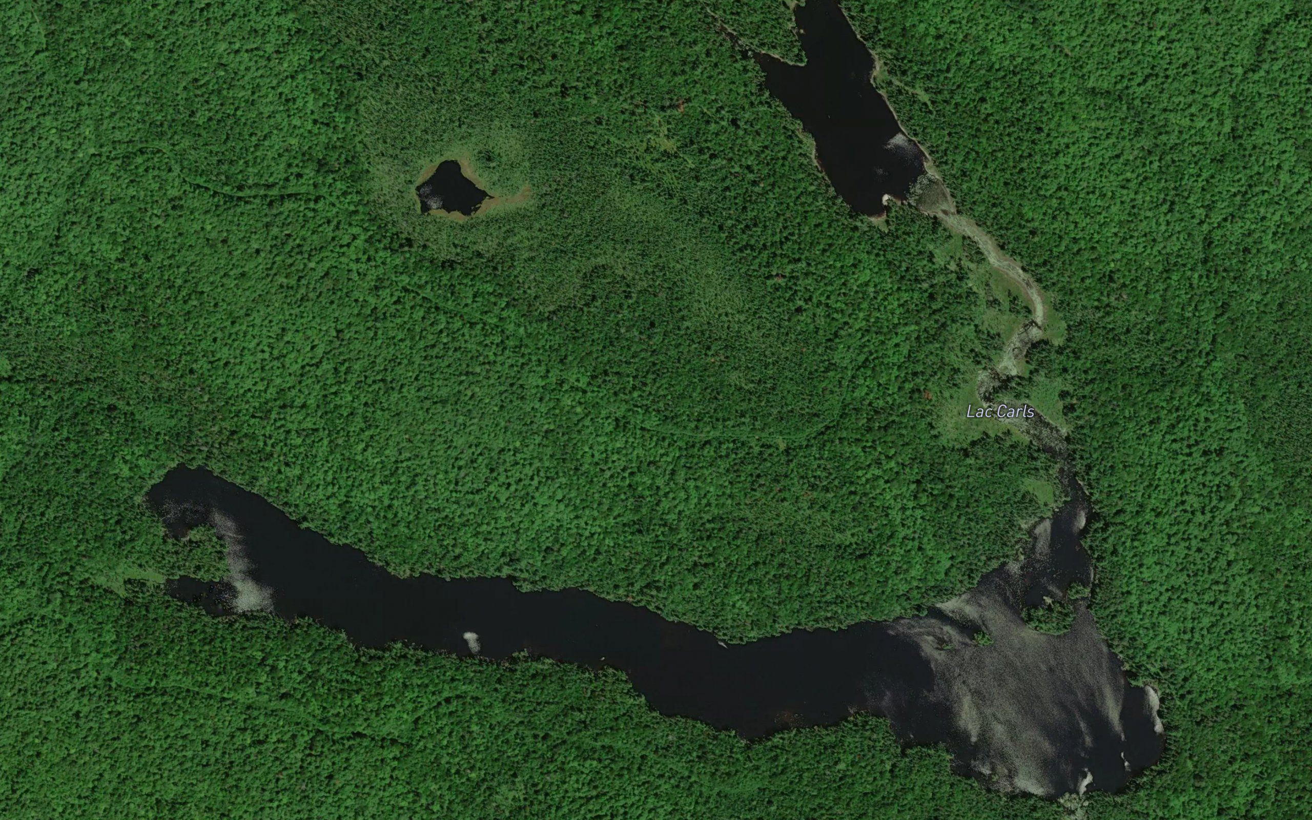 Lac Carls