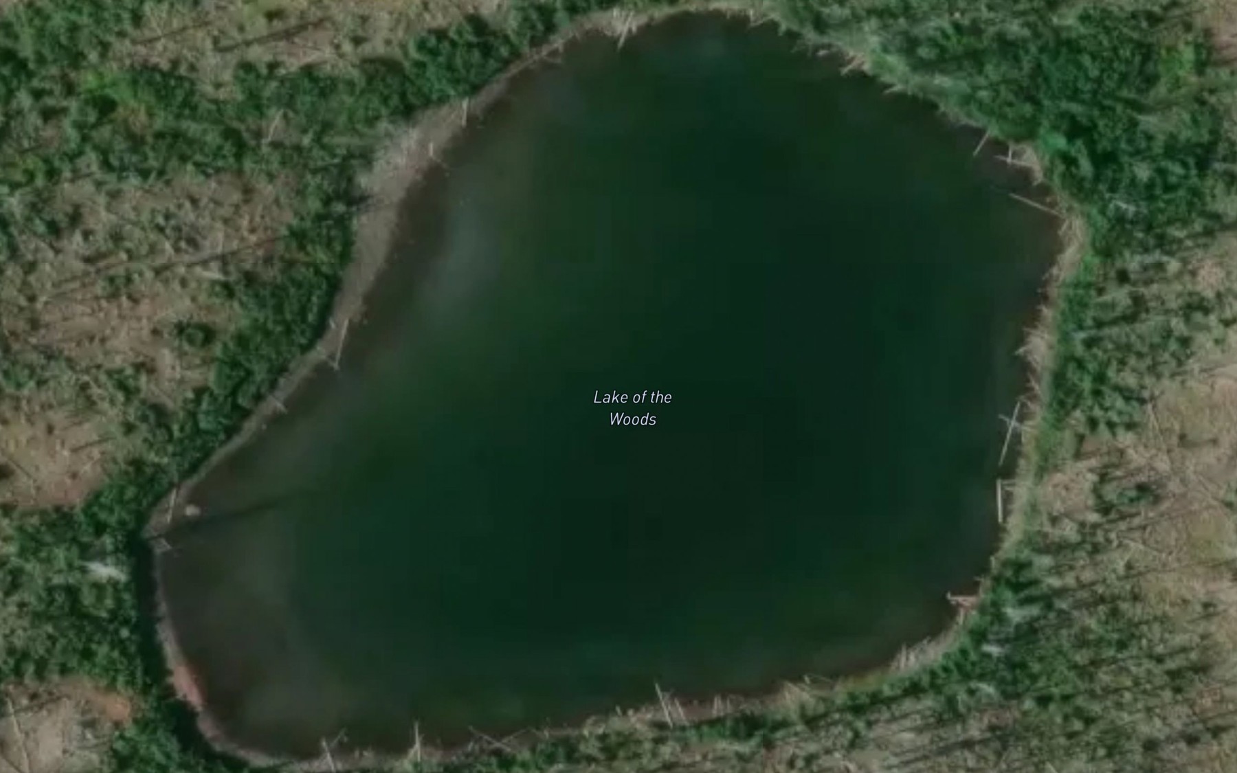 Satellite map of the Lake of the Woods