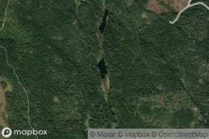 Ulvedalstjern sondre