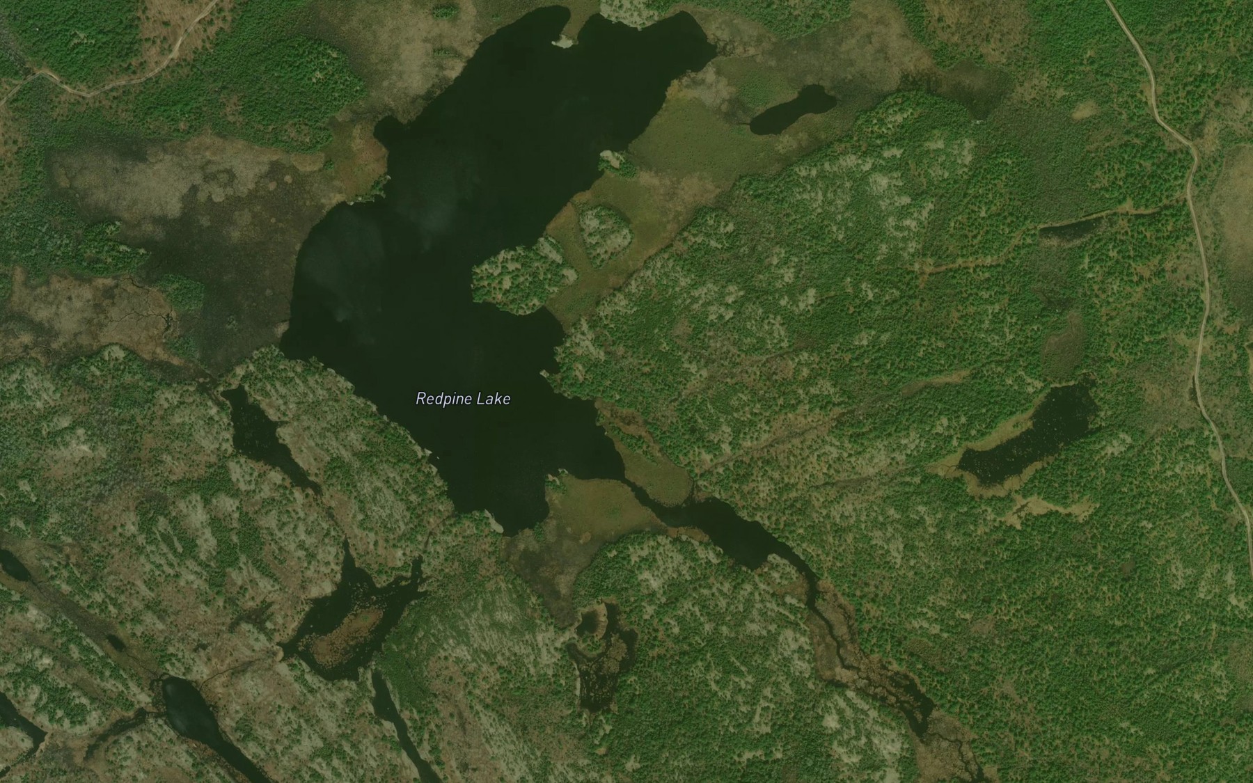 Satellite map of the Redpine Lake