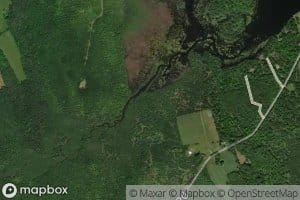 Pingree Center Stream