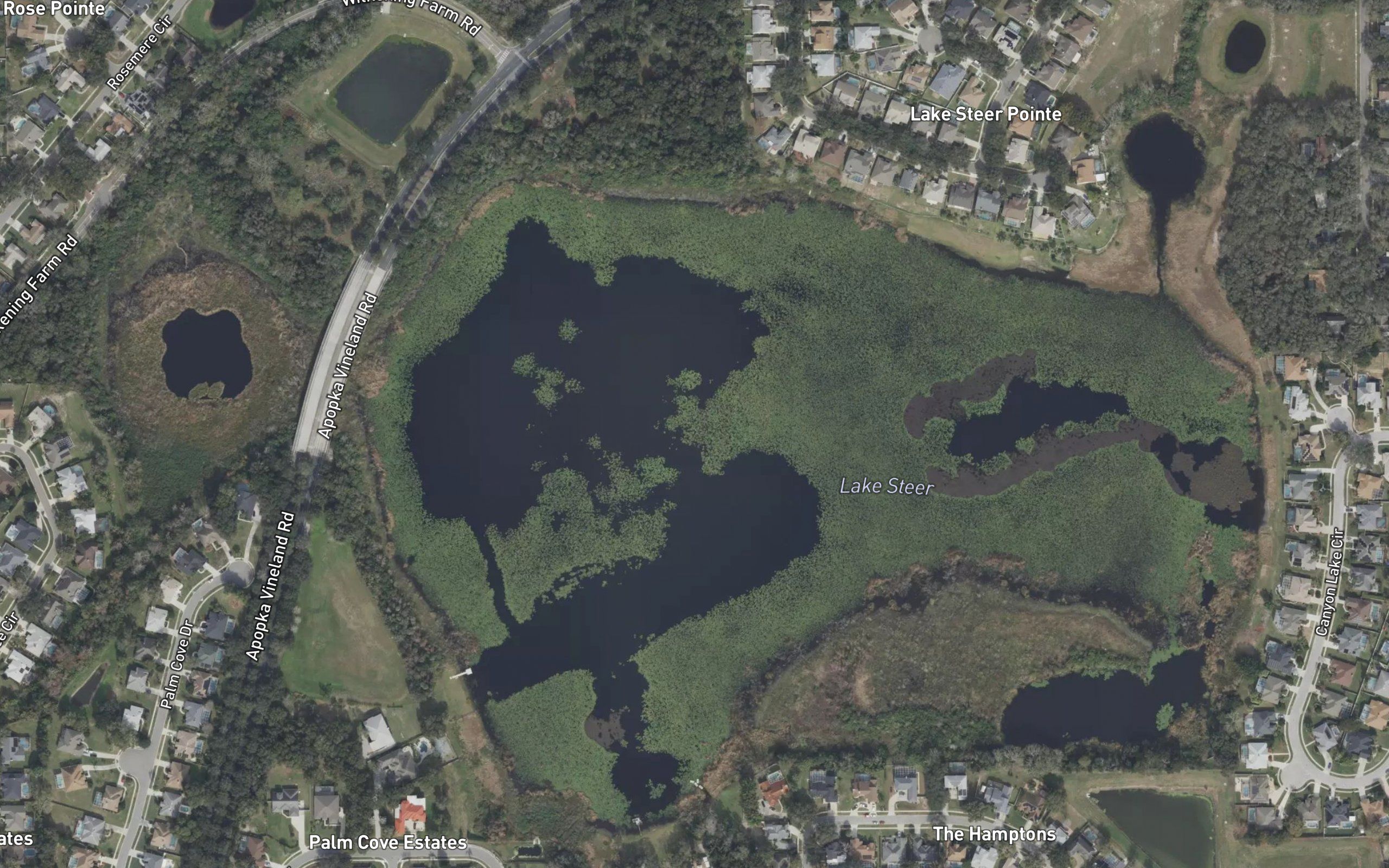 Lake Steer