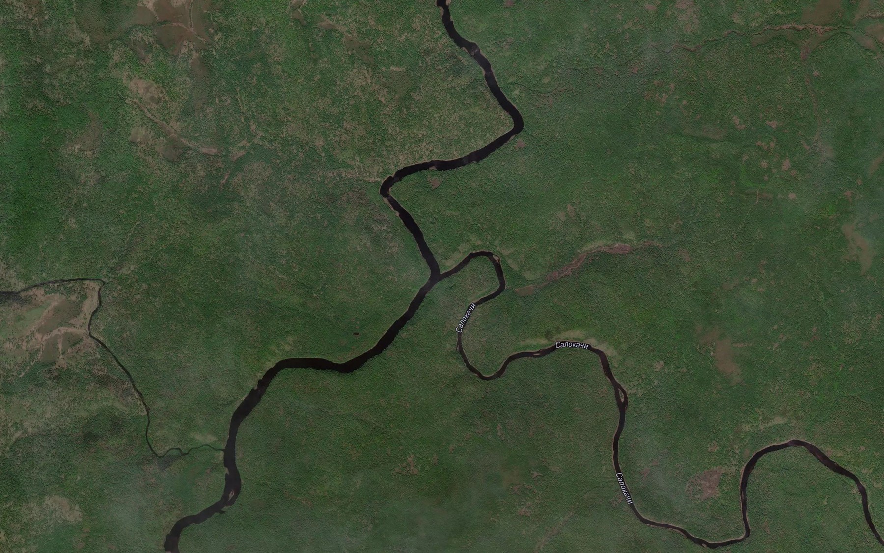 Satellite map of the Salokachi