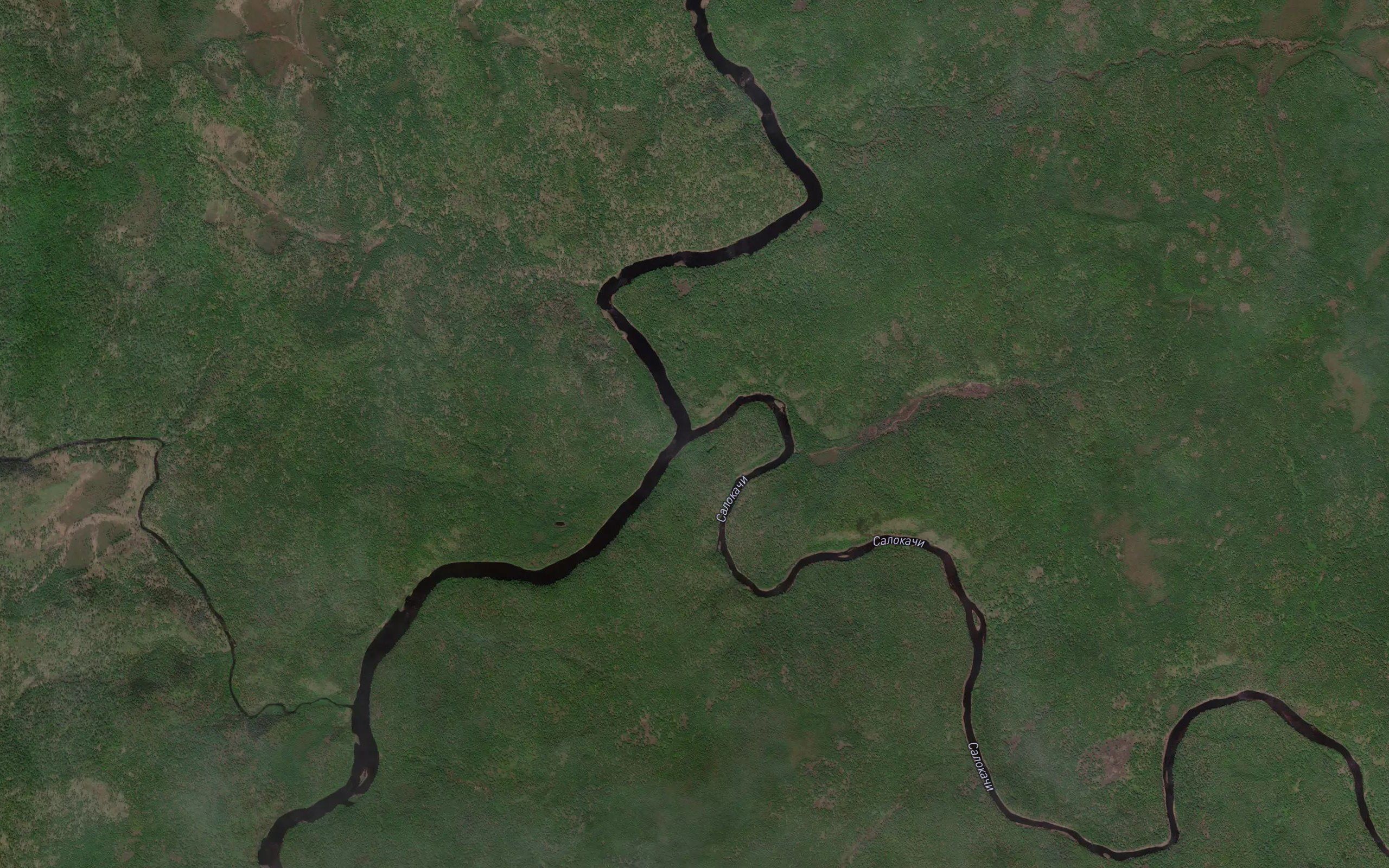 Salokachi