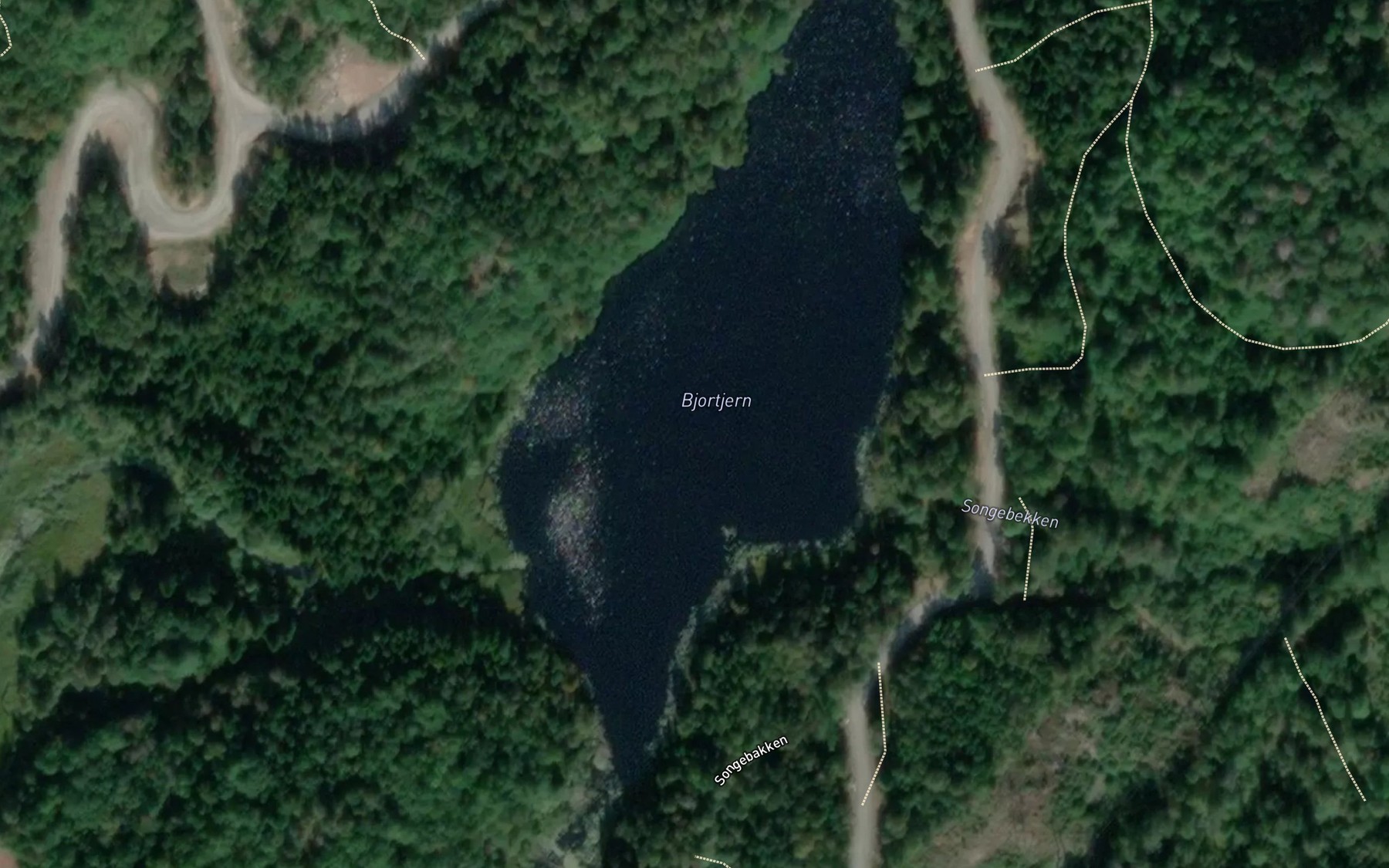 Satellite map of the Bjortjern