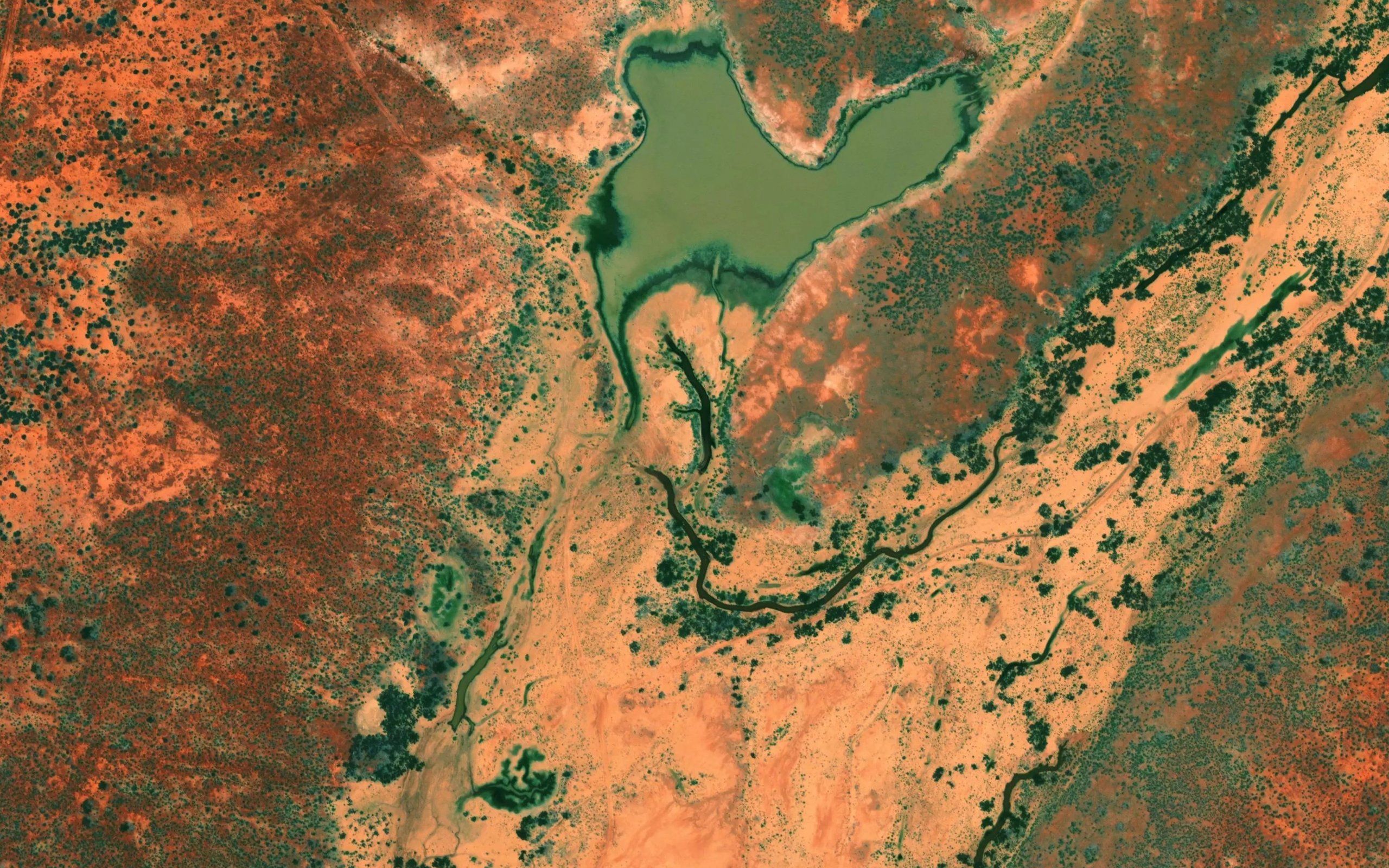 Youngerina Lake