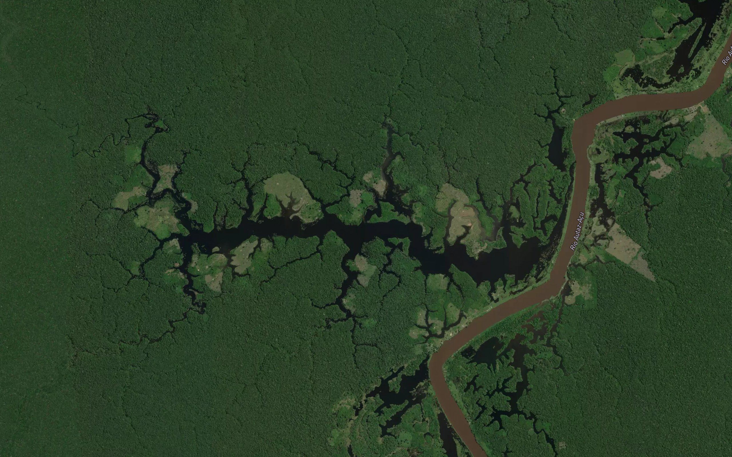 Igarape Terra Preta