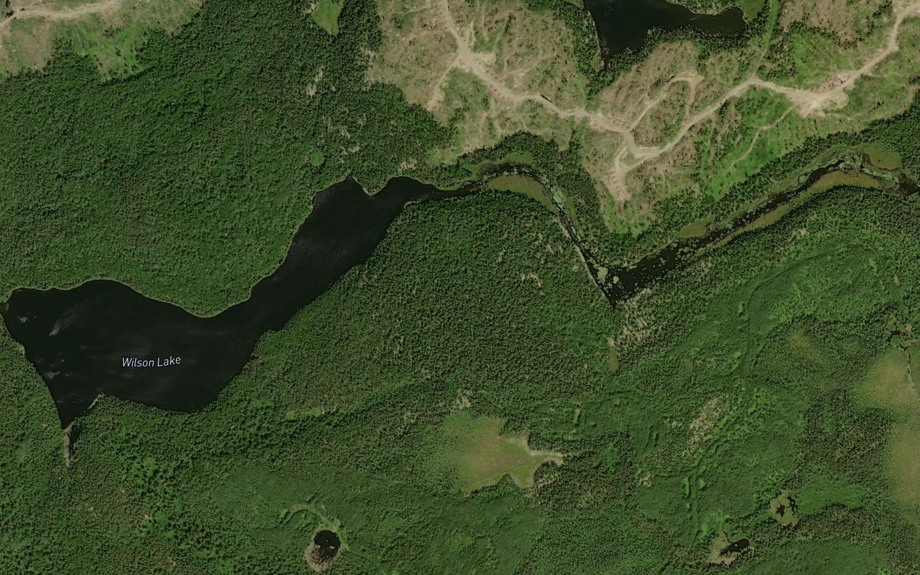 Satellite map of the Wilson Lake