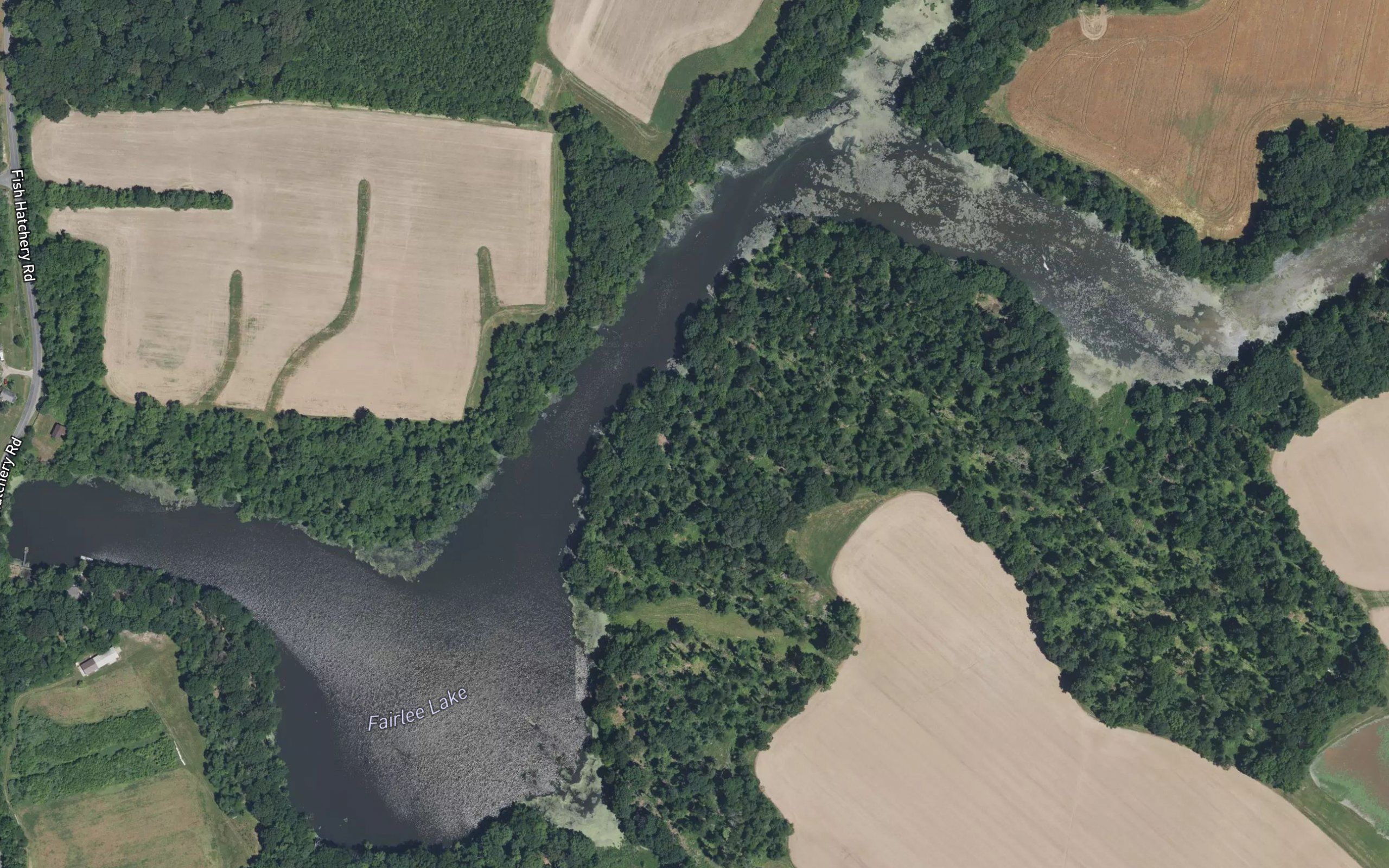 Fairlee Lake
