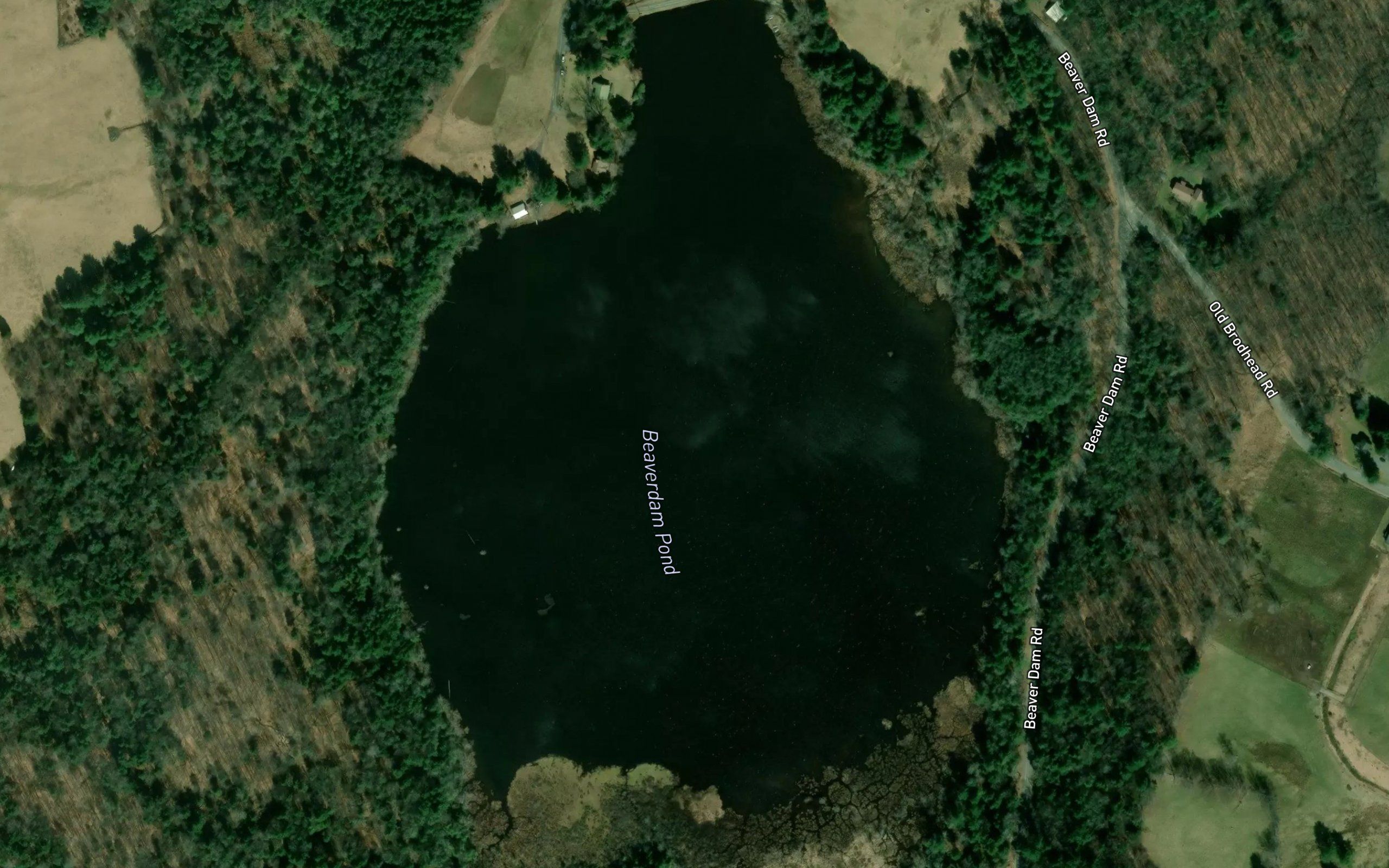 Beaverdam Pond