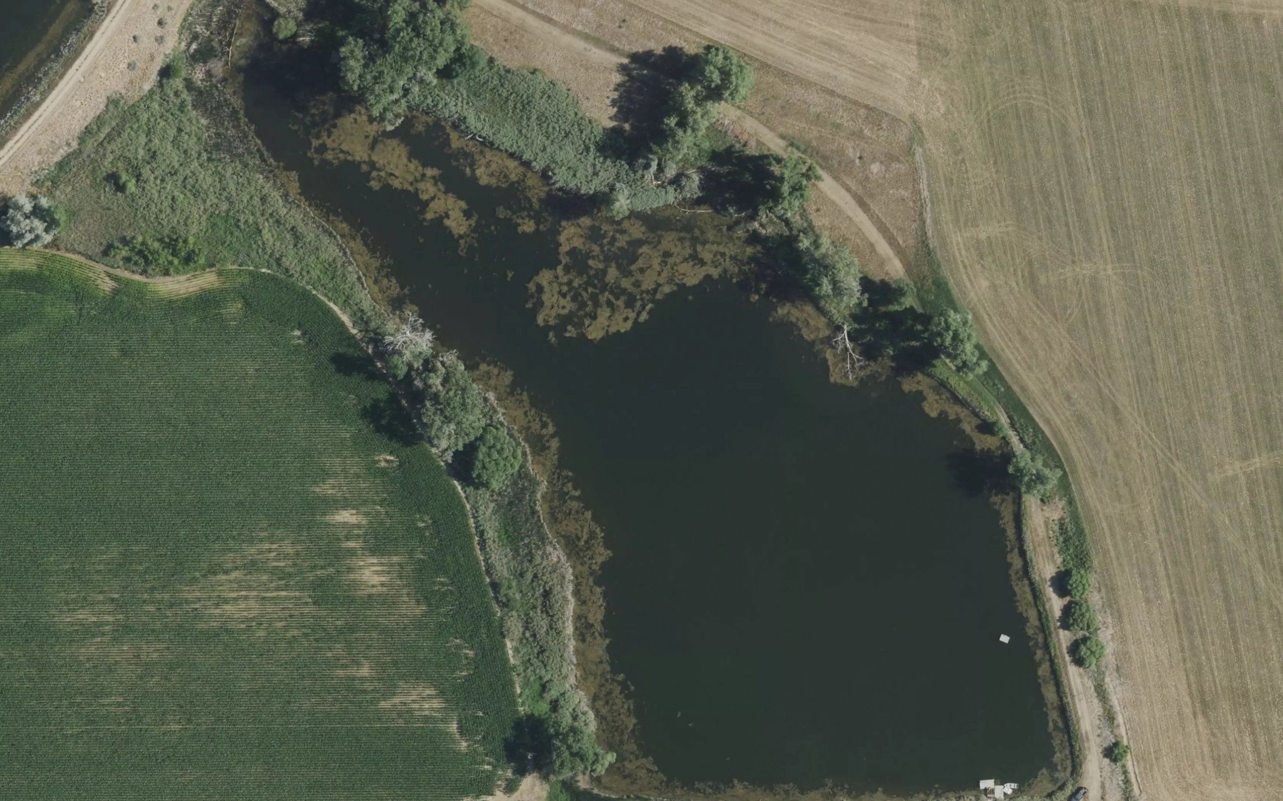 Isabel Myron Reservoir