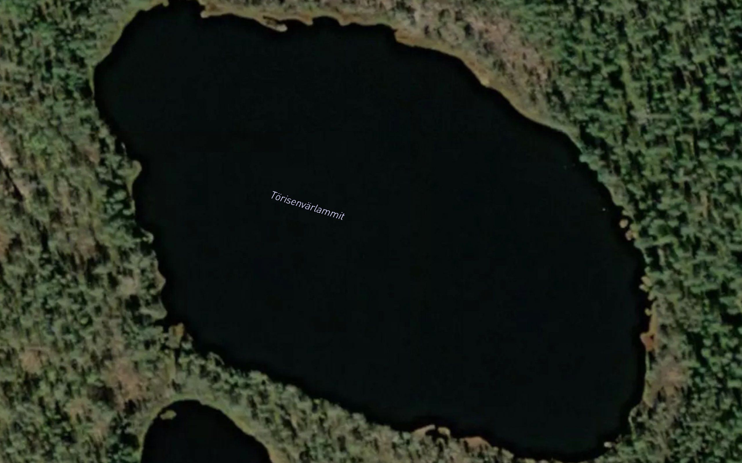 Torisevanlammit