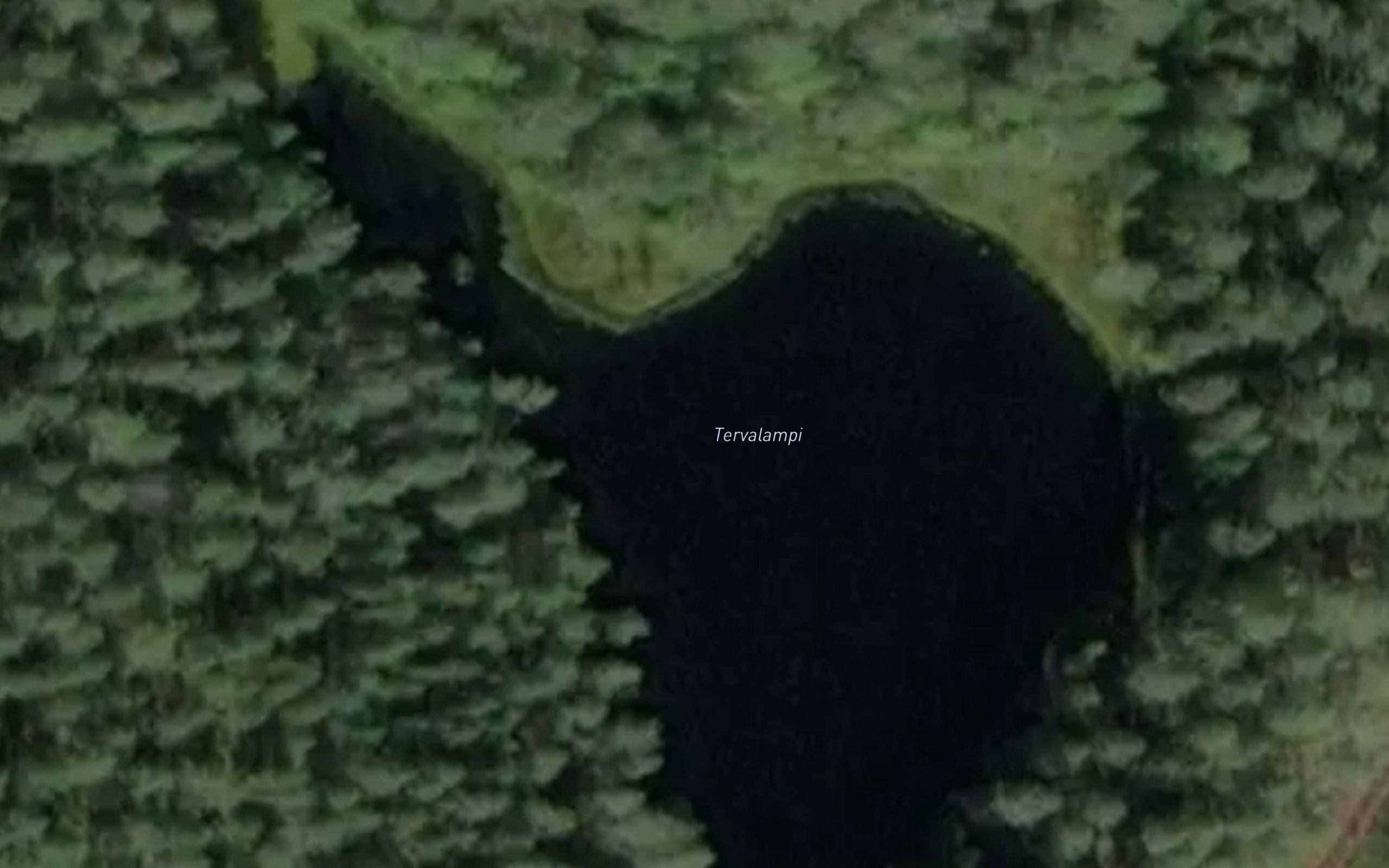 Tervalampi