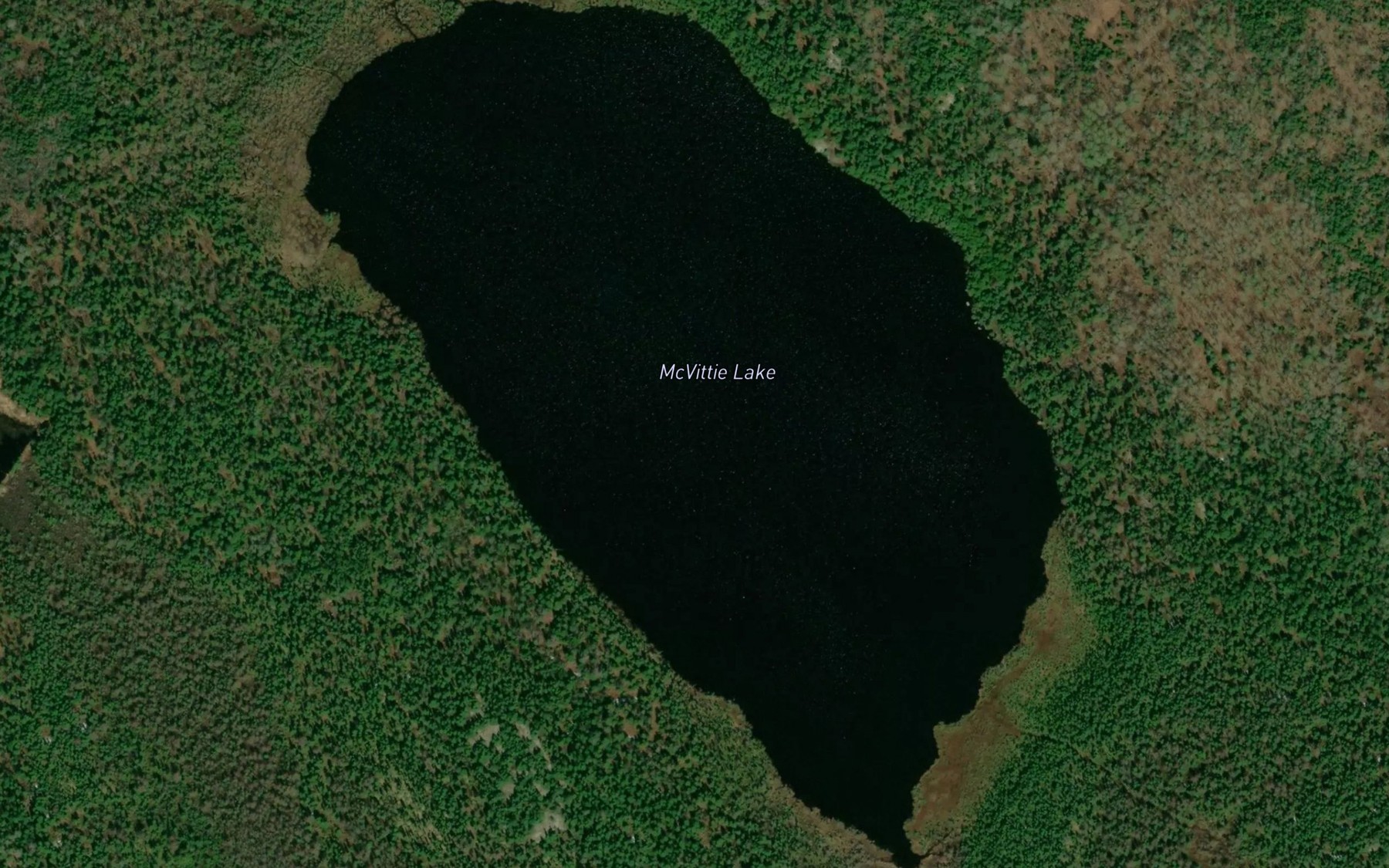Satellite map of the McVittie Lake