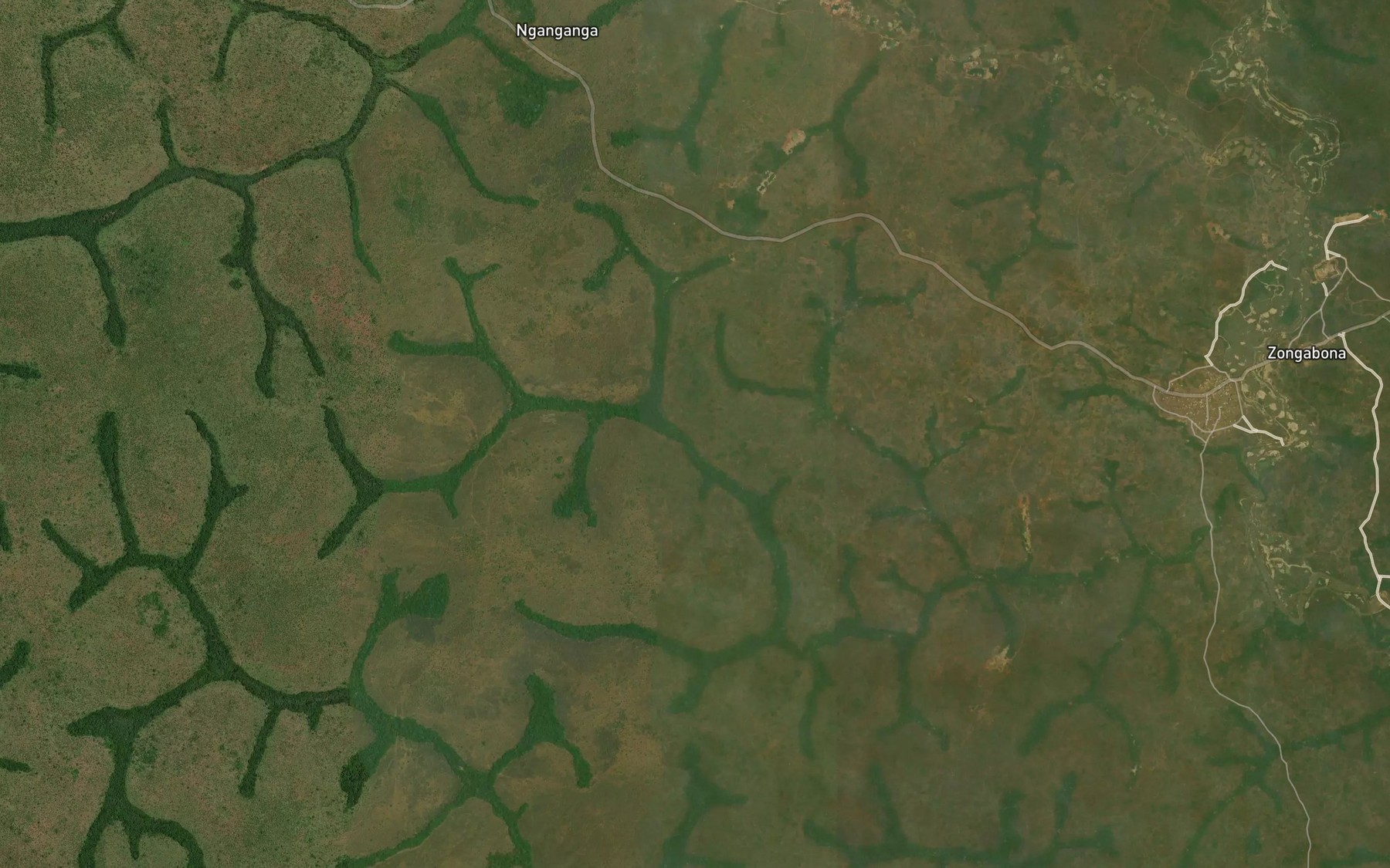 Satellite map of the Pangalamada