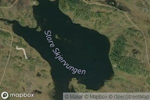 Skjervungen,store