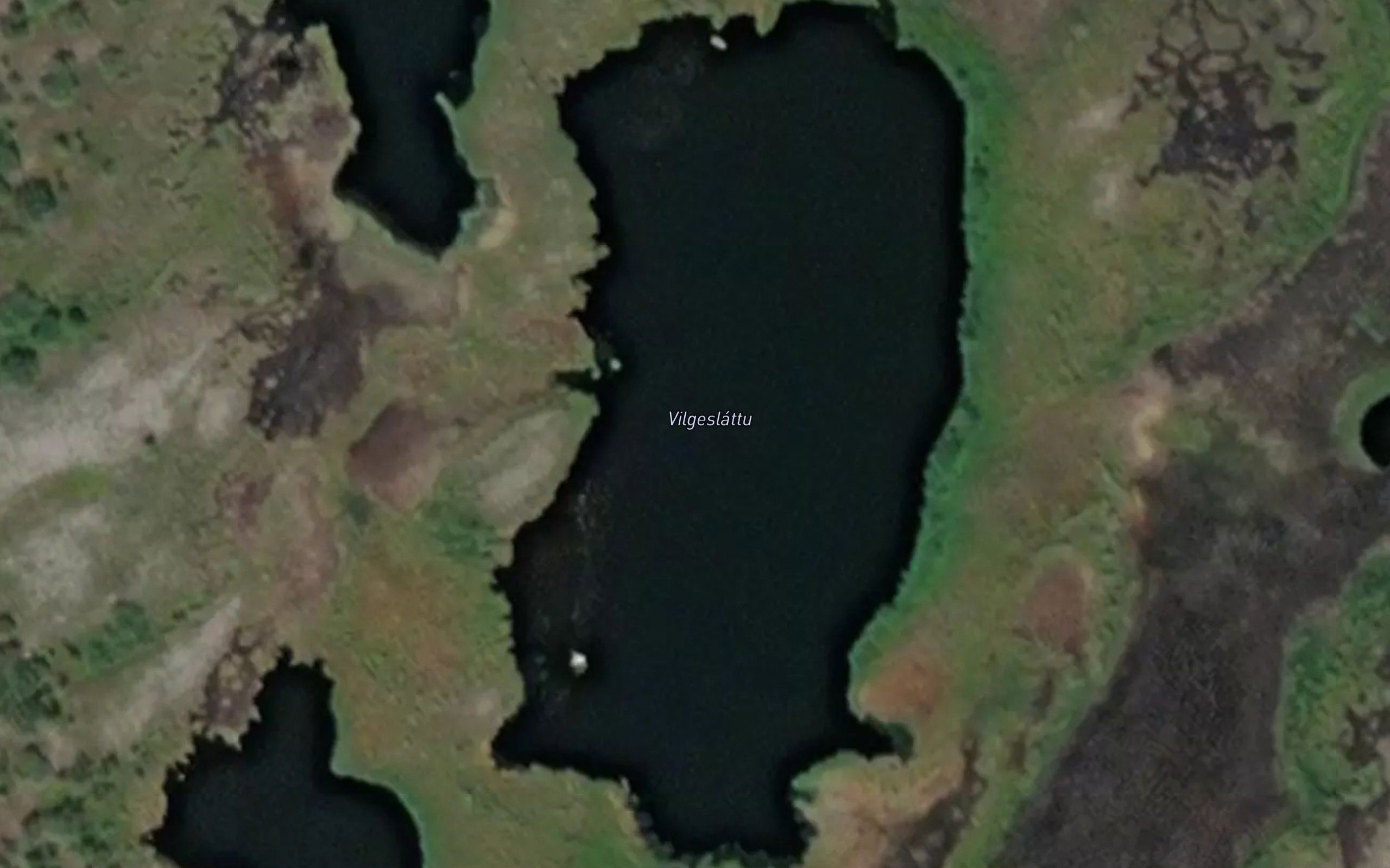 Vilgeslattu