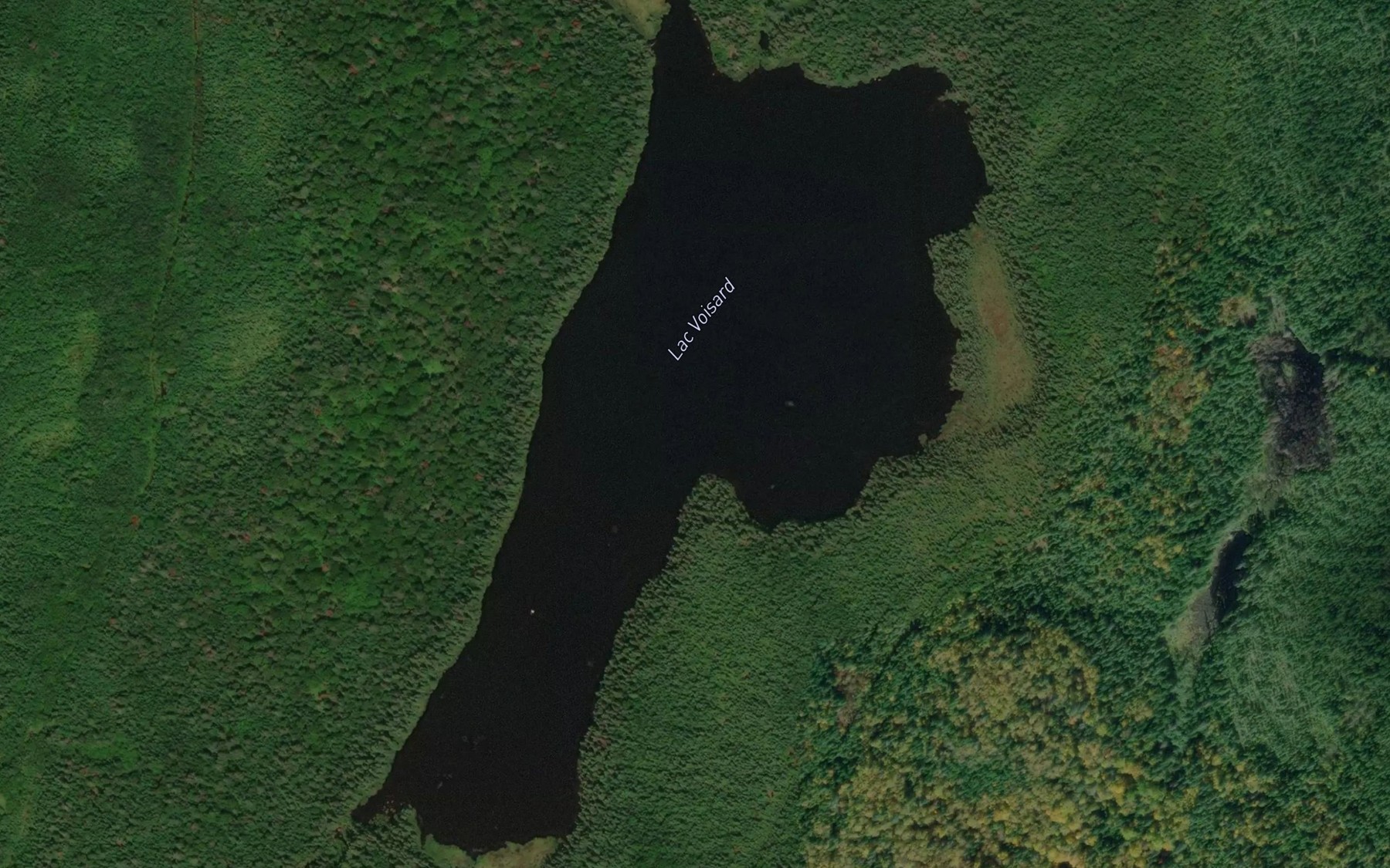 Satellite map of the Lac Voisard