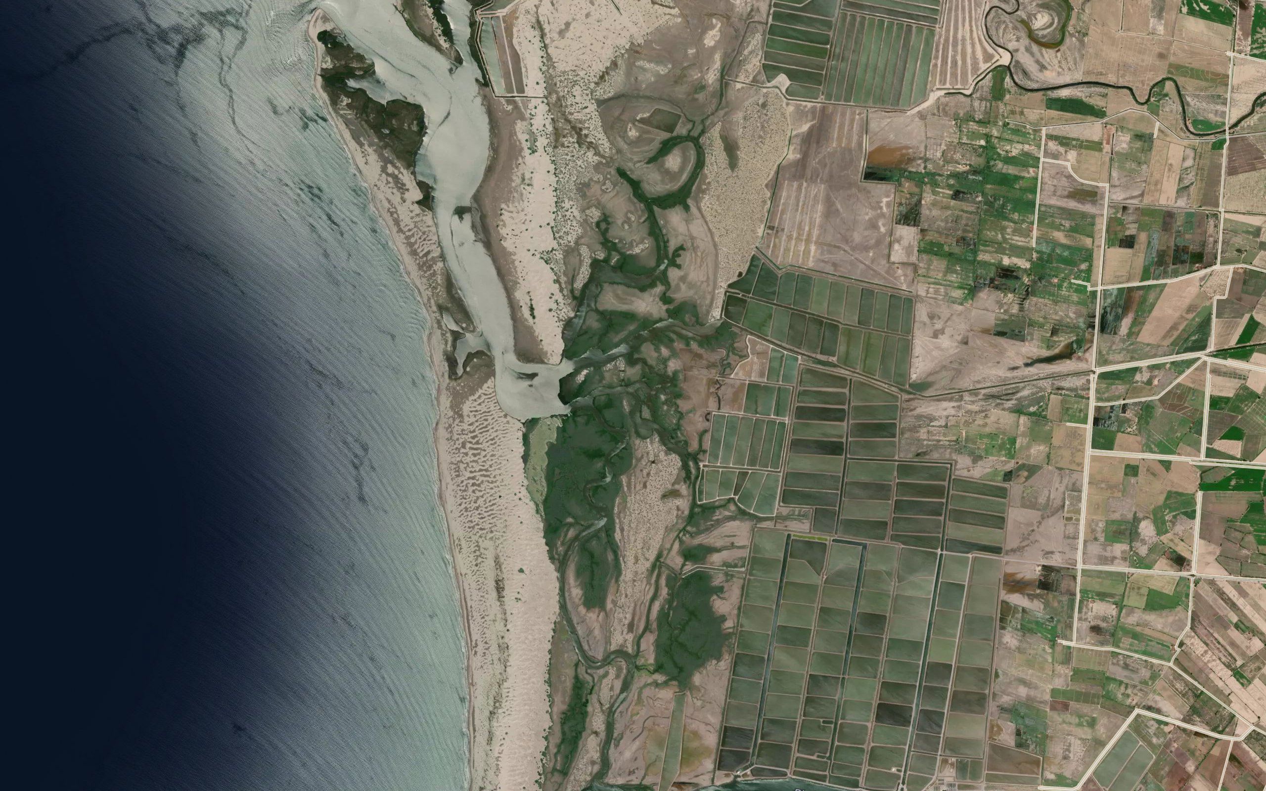 Estero Cutantenia