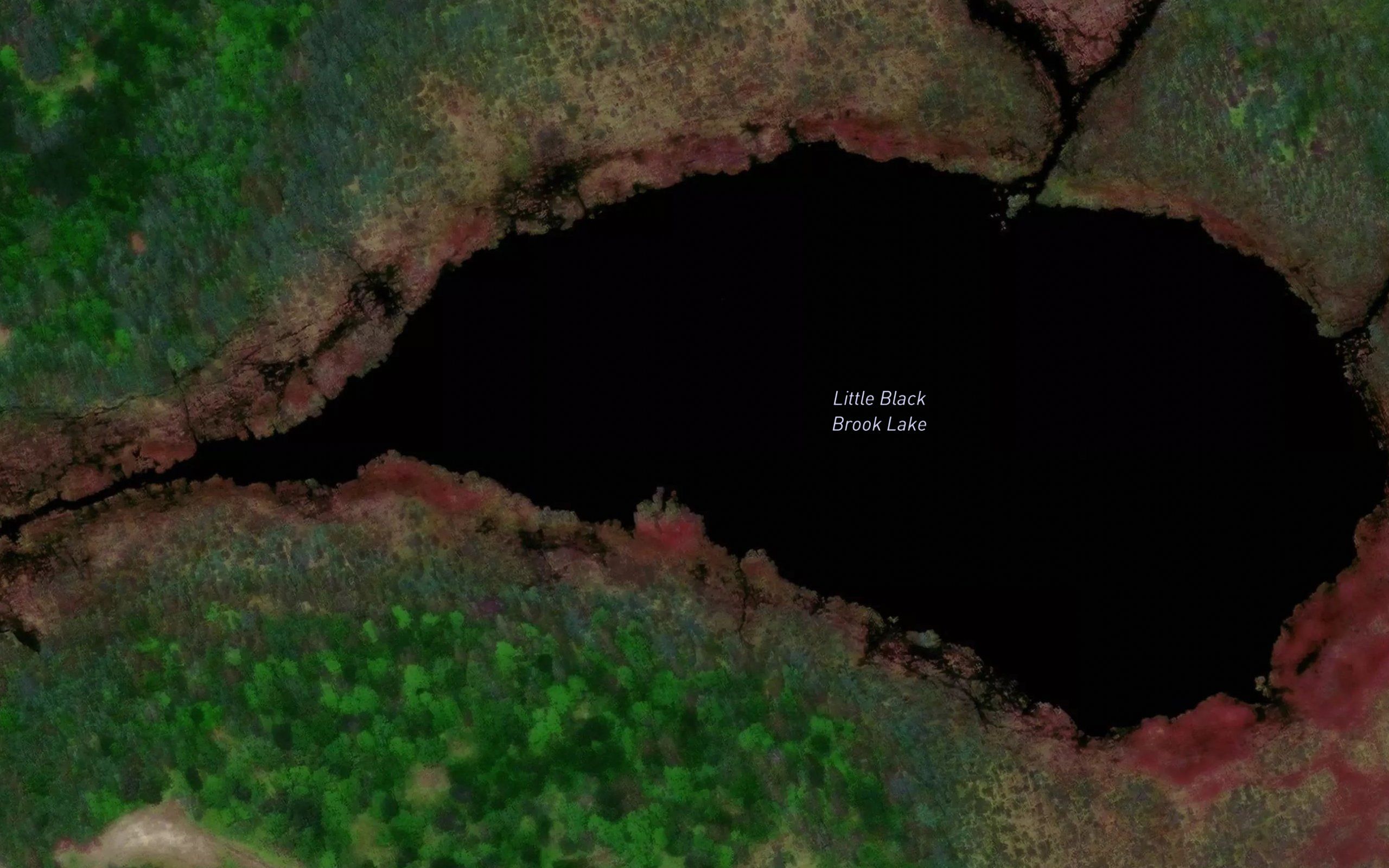 Little Black Brook Lake