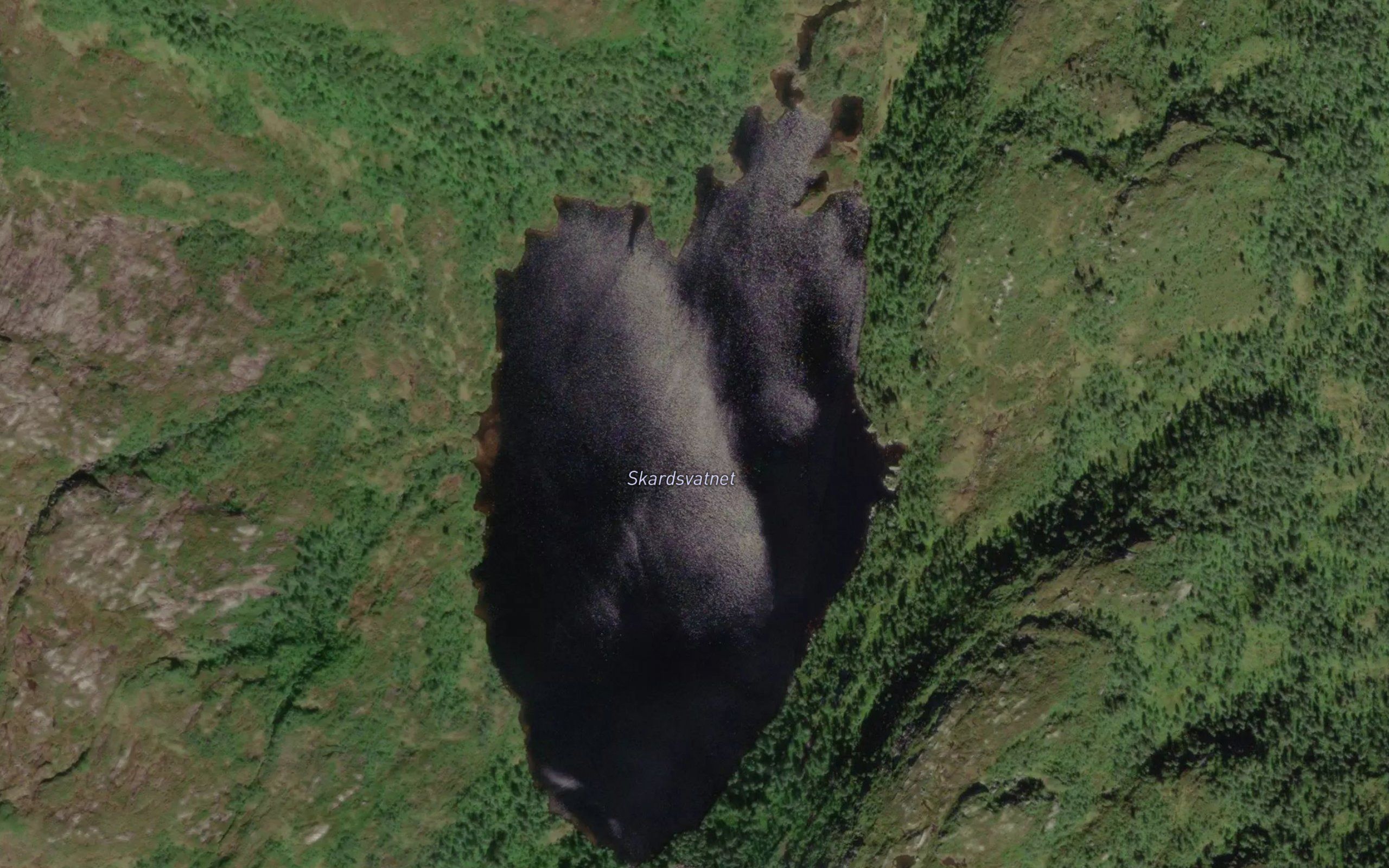 Skarsvatnet