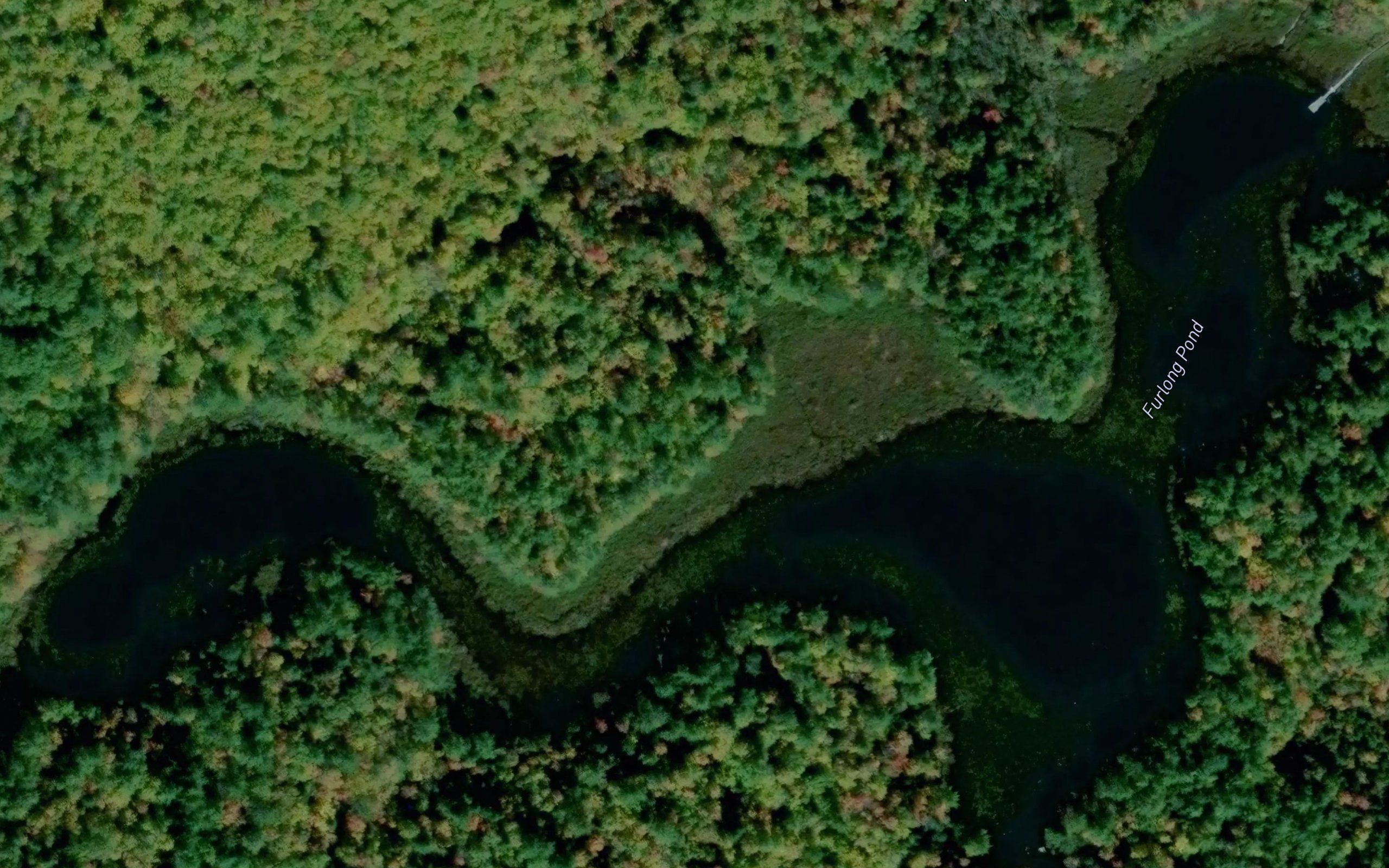 Furlong Pond
