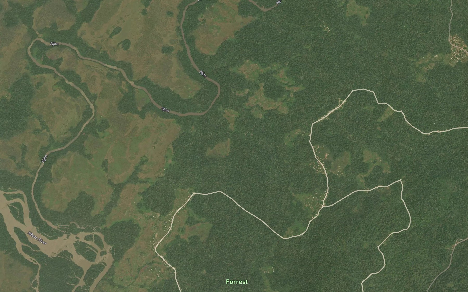 Satellite map of the Loko