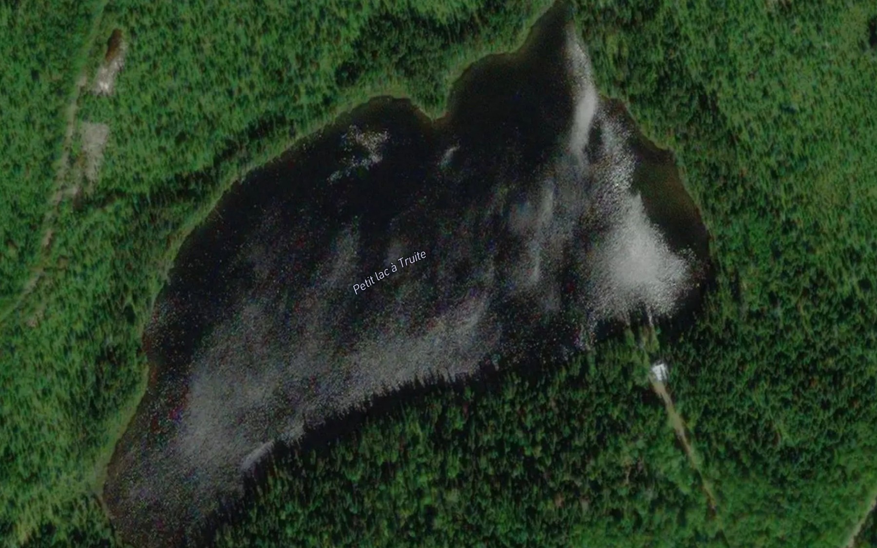 Satellite map of the Petit lac a Truite