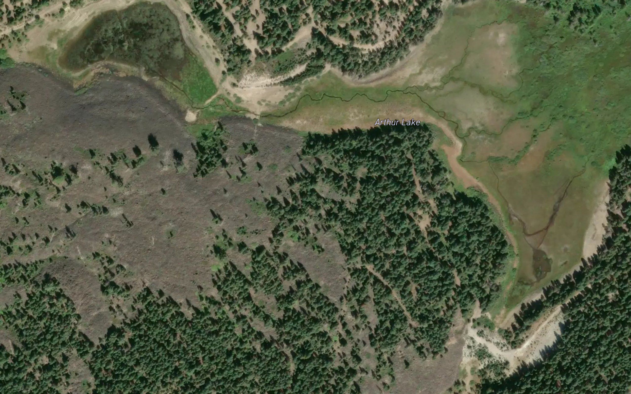 Arthur Lake