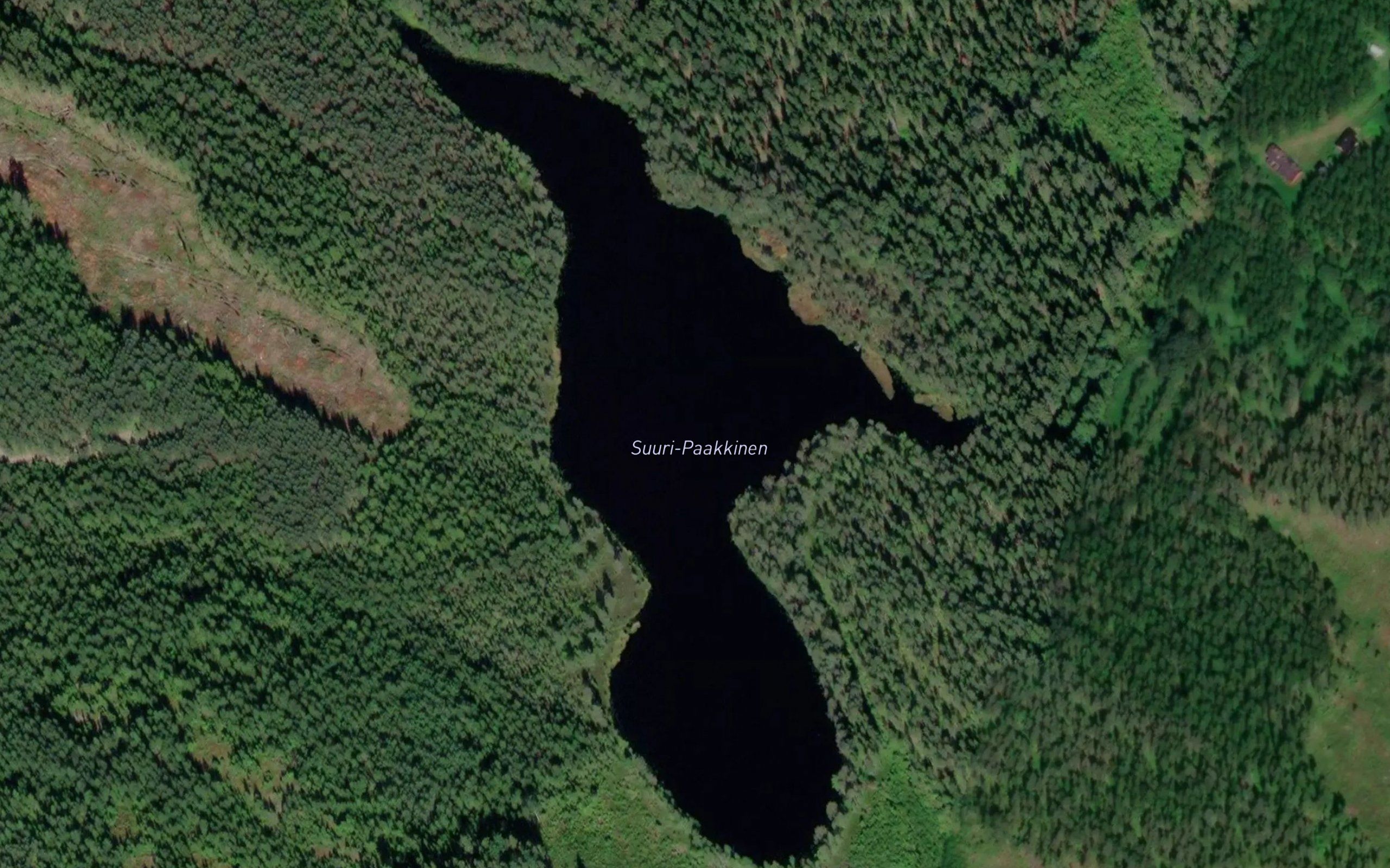 Suuri-Paakkinen