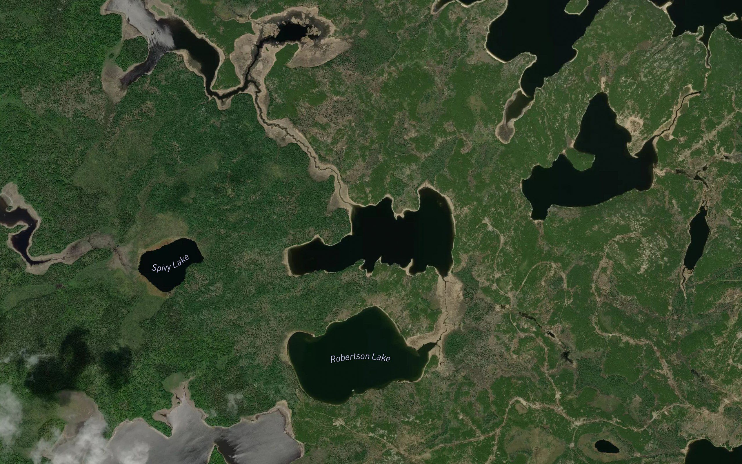 Martin Lake