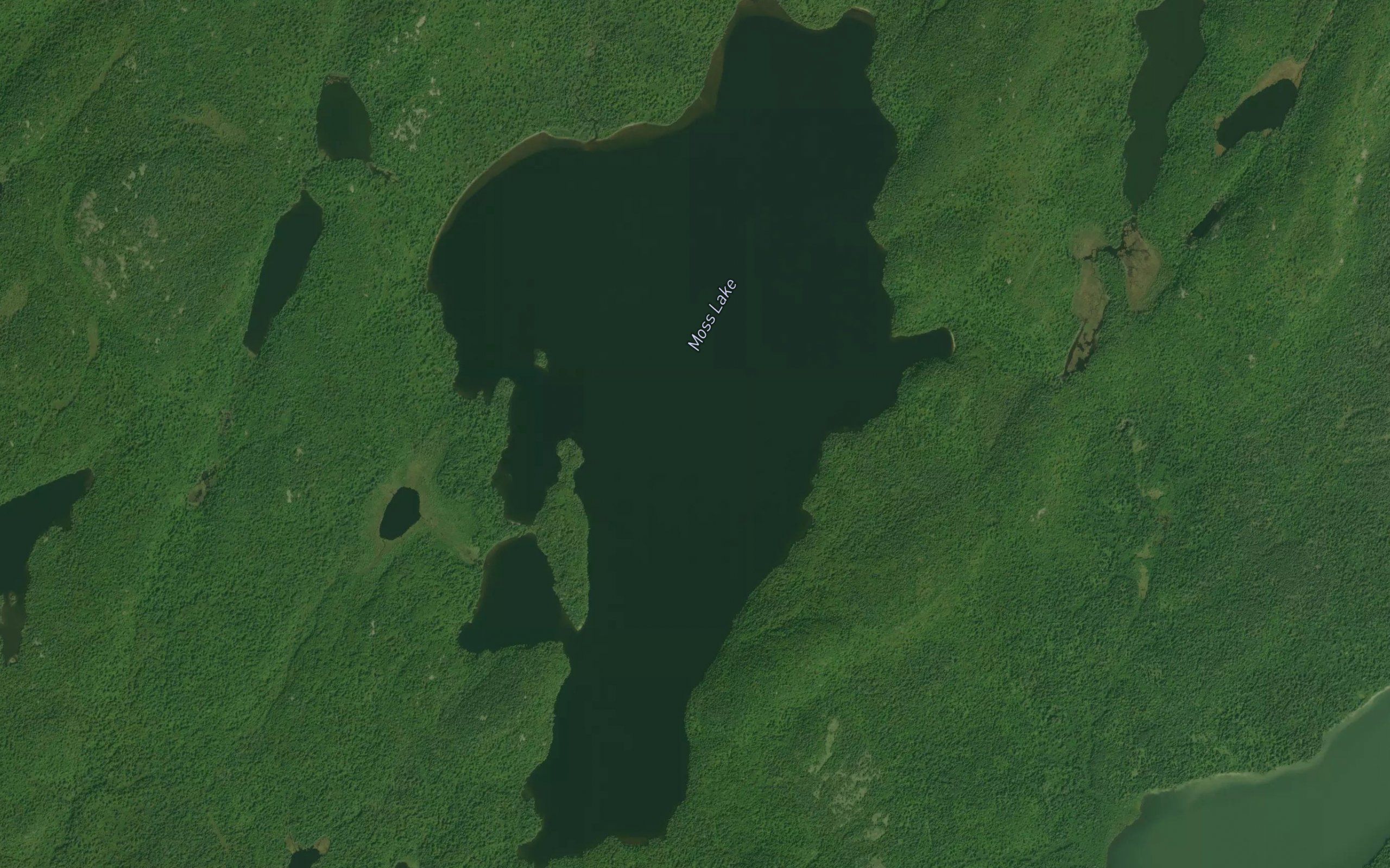 Moss Lake