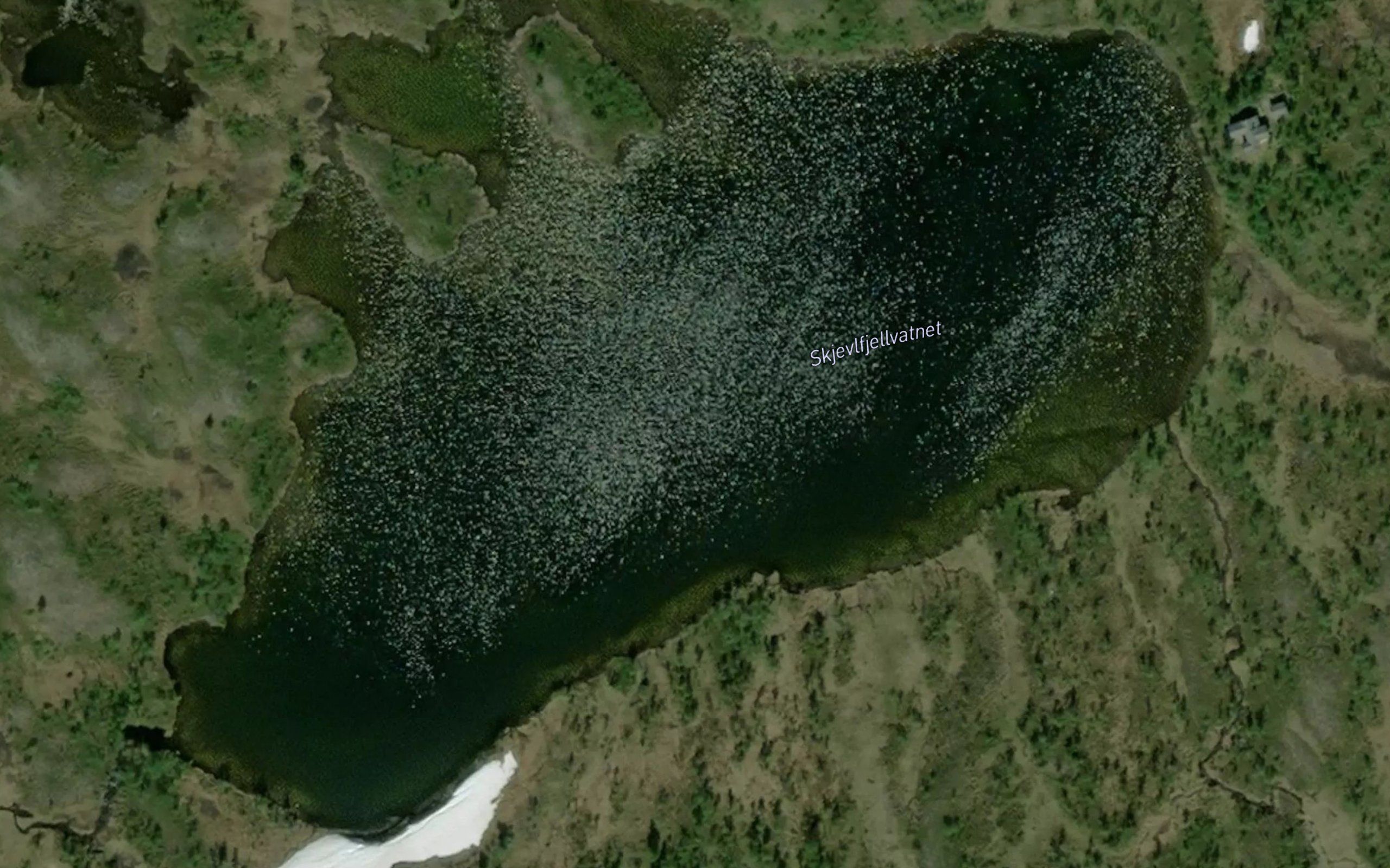 Skjevlfjellvatnet