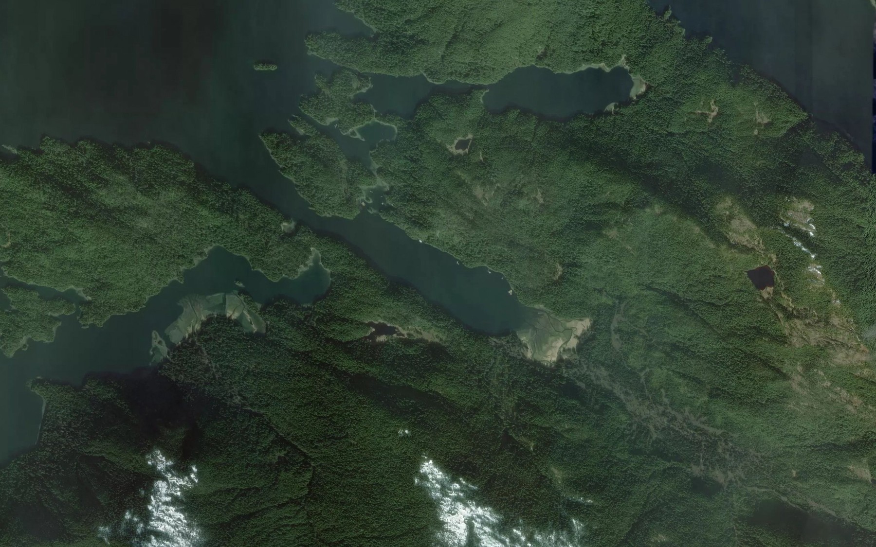 Satellite map of the Camp Coogan Bay