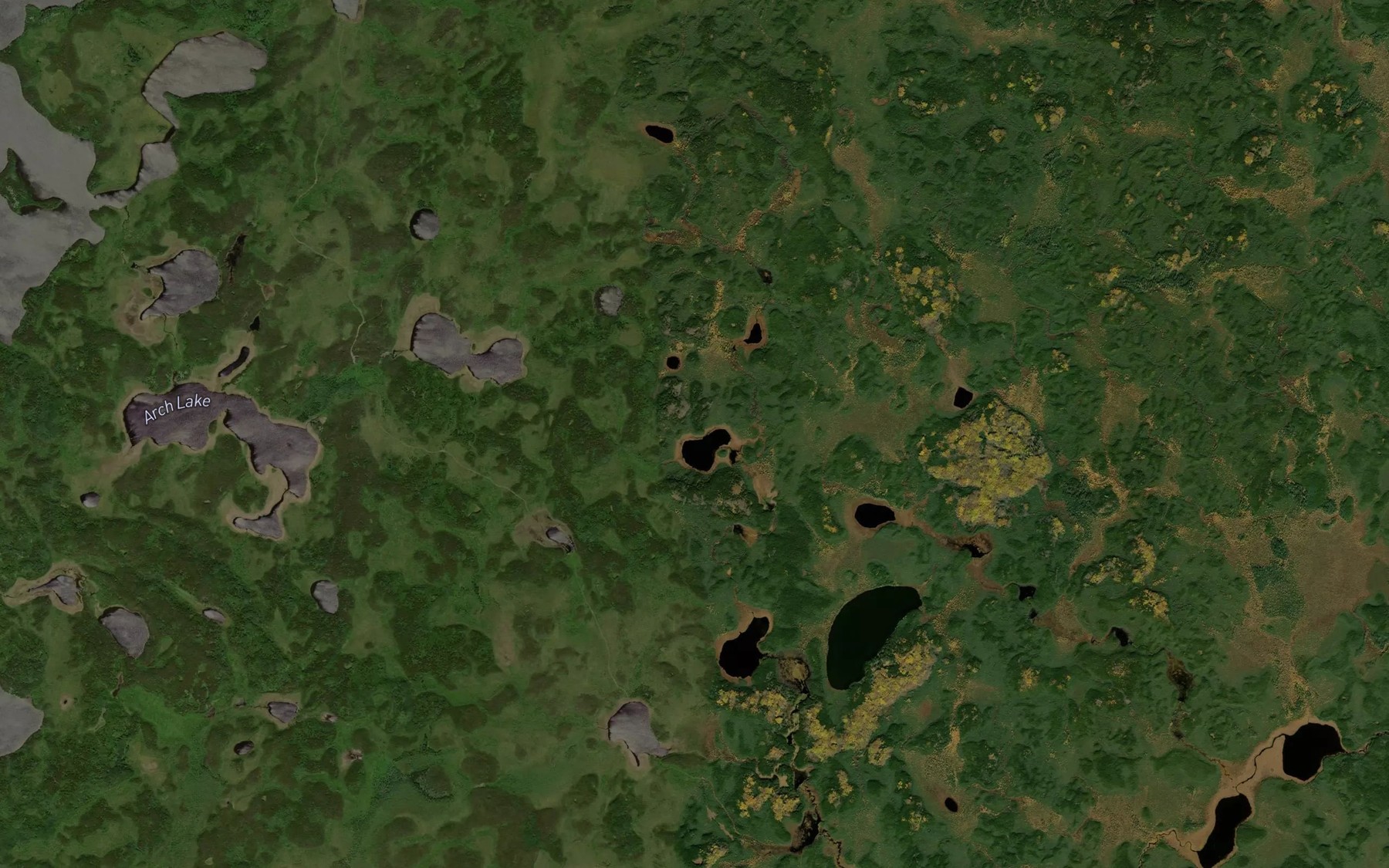 Satellite map of the Garlic Lake
