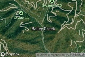 Left Fork Bailey Creek