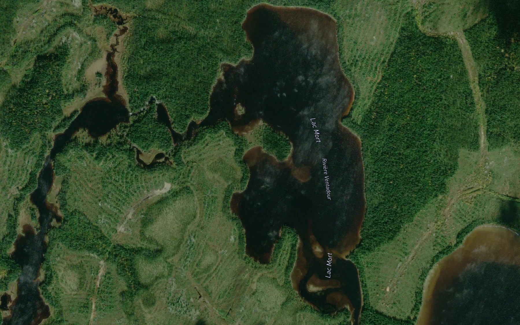 Satellite map of the Lac Mort