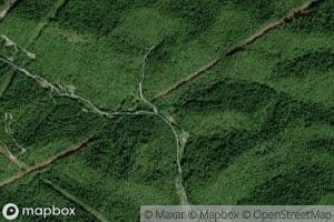 Bear Fork