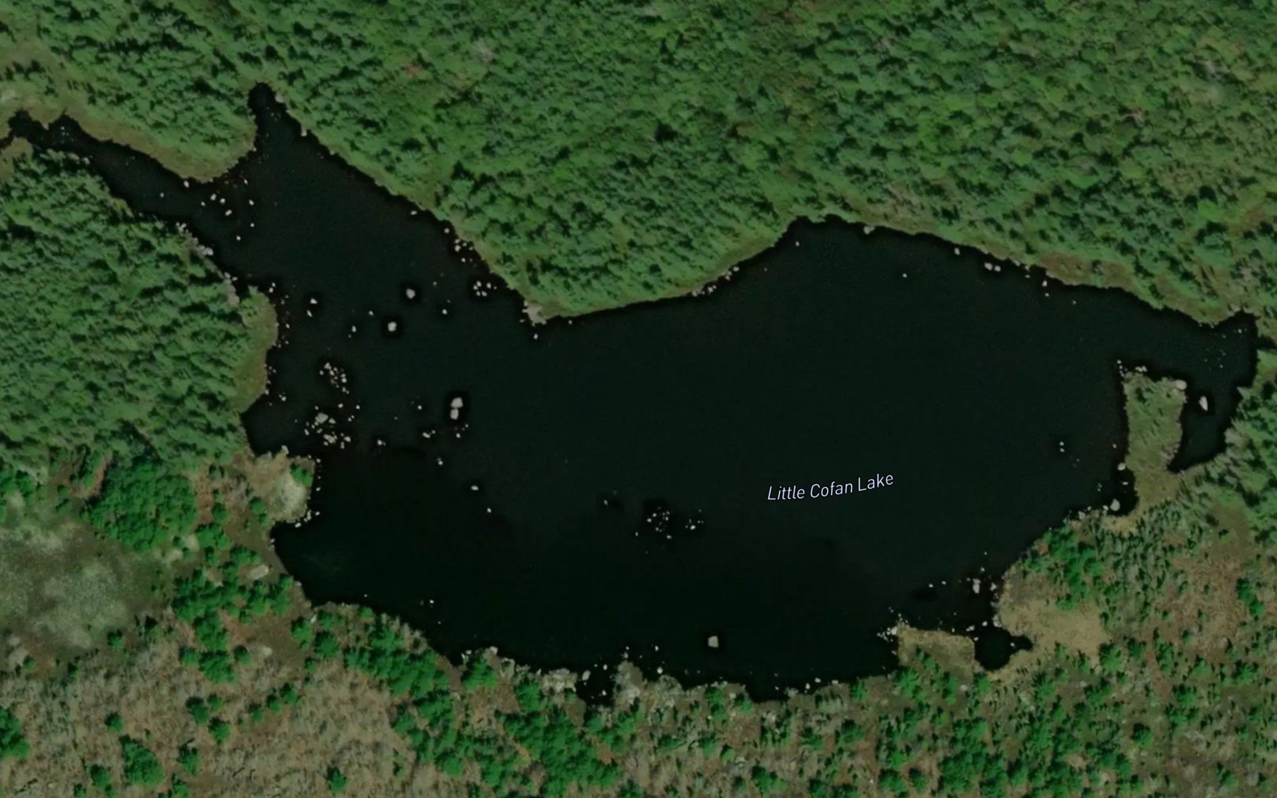 Little Cofan Lake