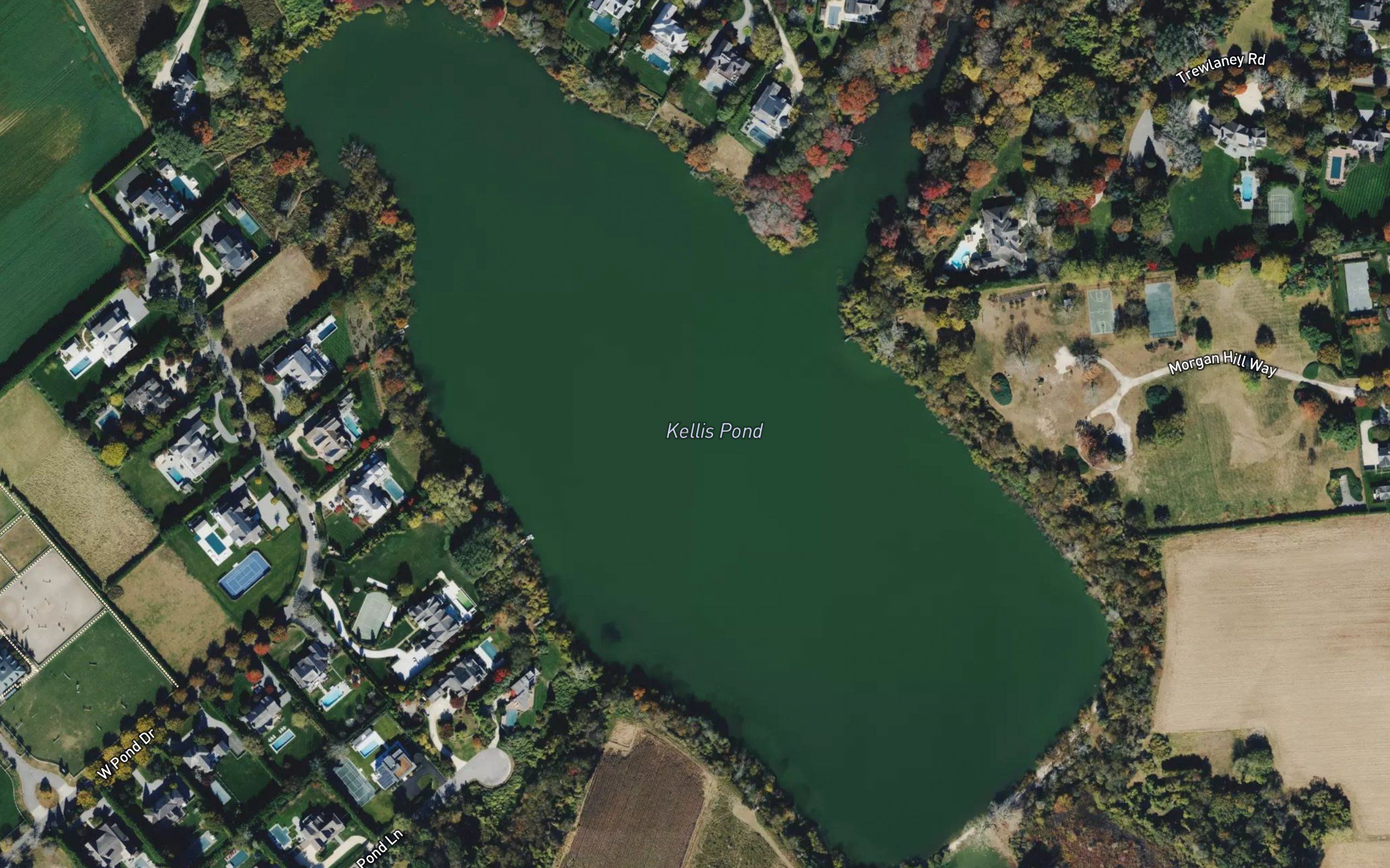 Kellis Pond
