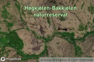 Hannakamtjornin