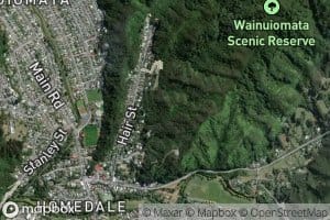 Wainuiomata Stream
