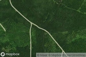 West Branch Atkins Brook