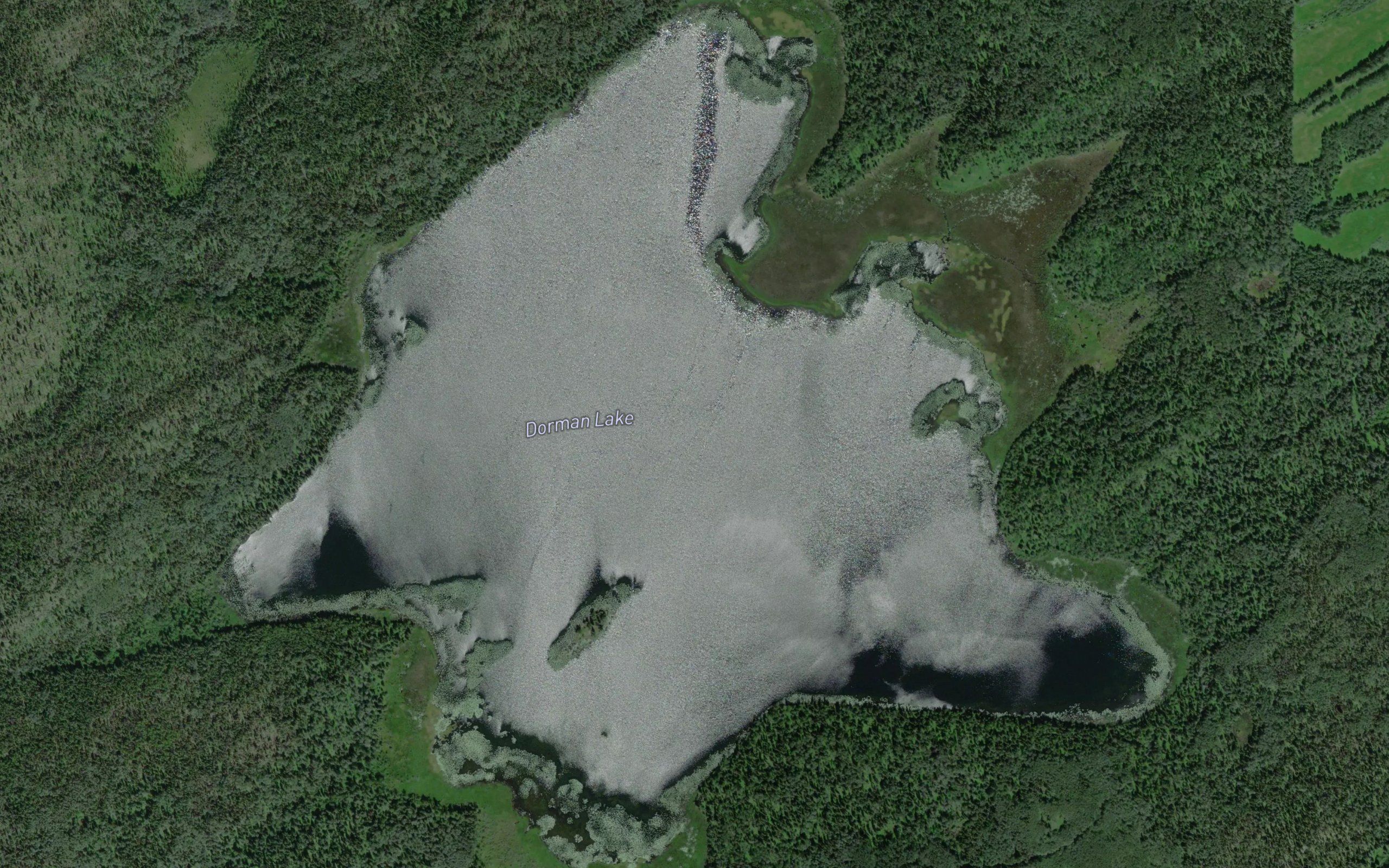 Dorman Lake