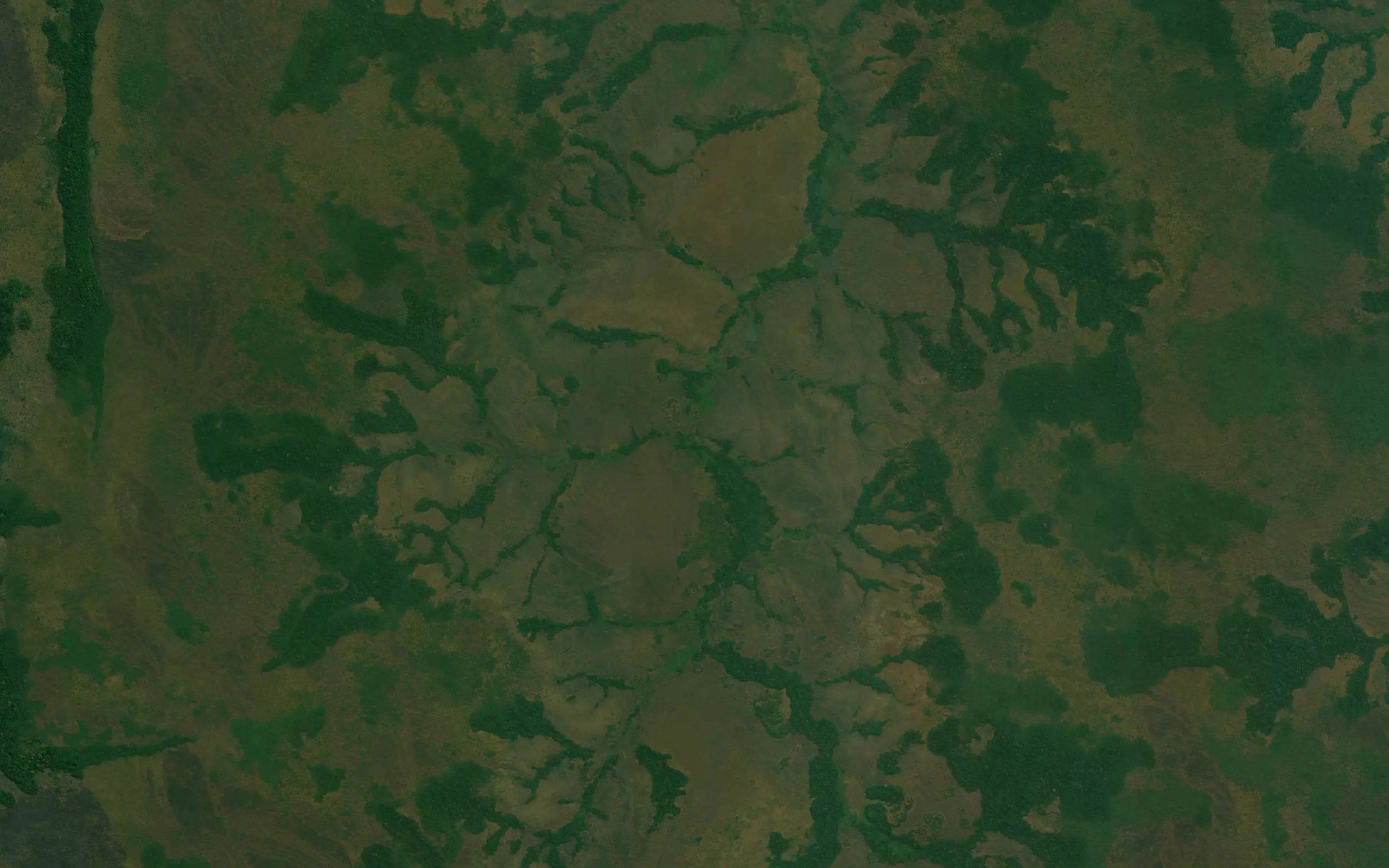 Napasu
