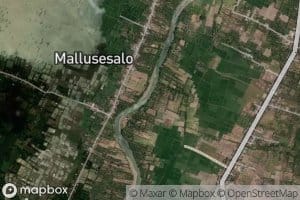 Salo Paseru