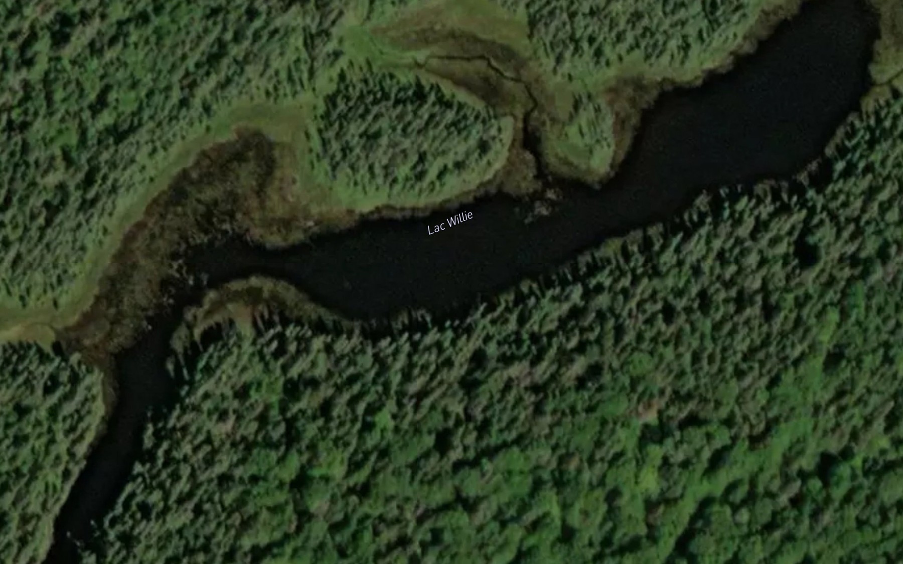 Satellite map of the Lac Willie